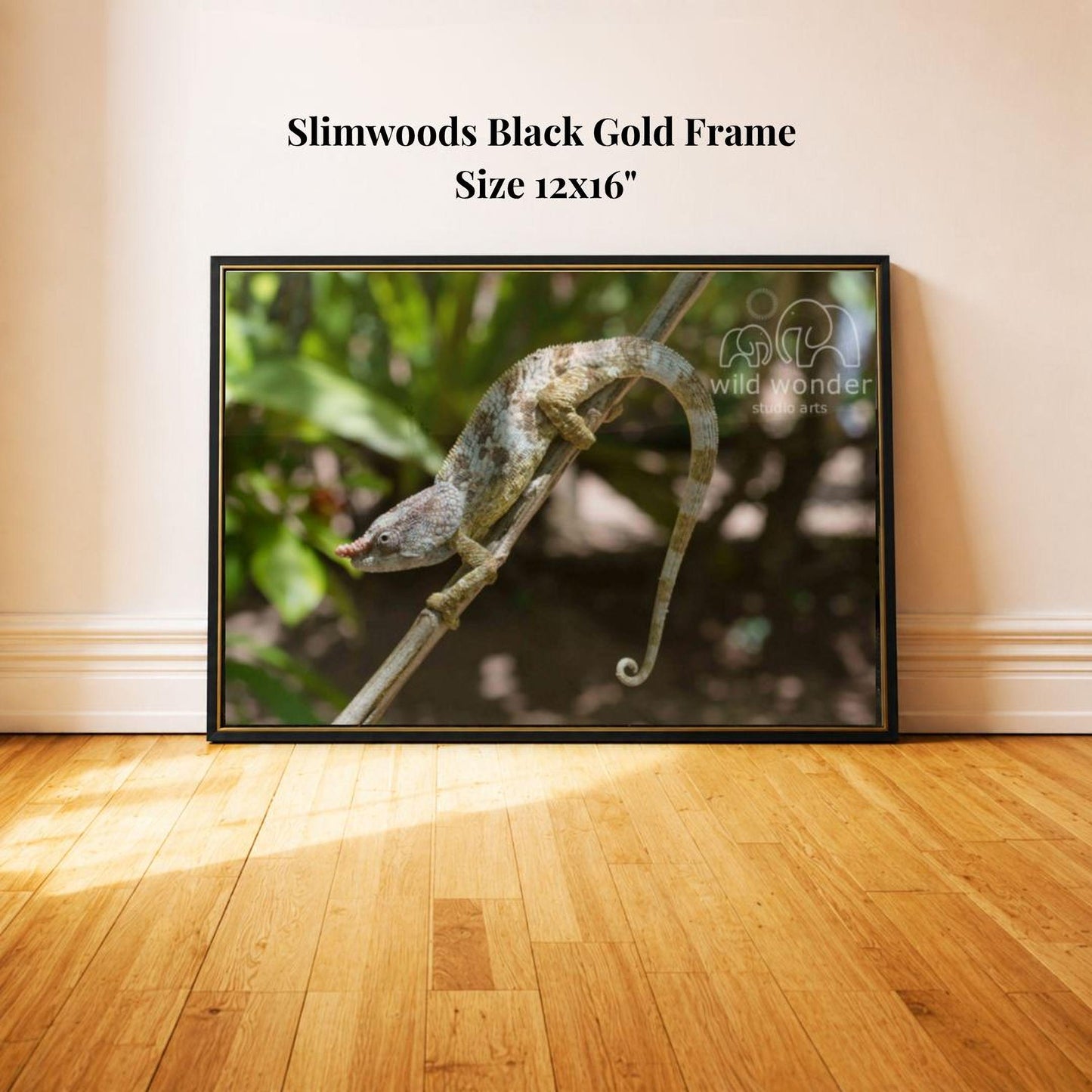 A framed photograph of a chameleon perched on a branch, with a black gold frame and a size of 12x16 inches.