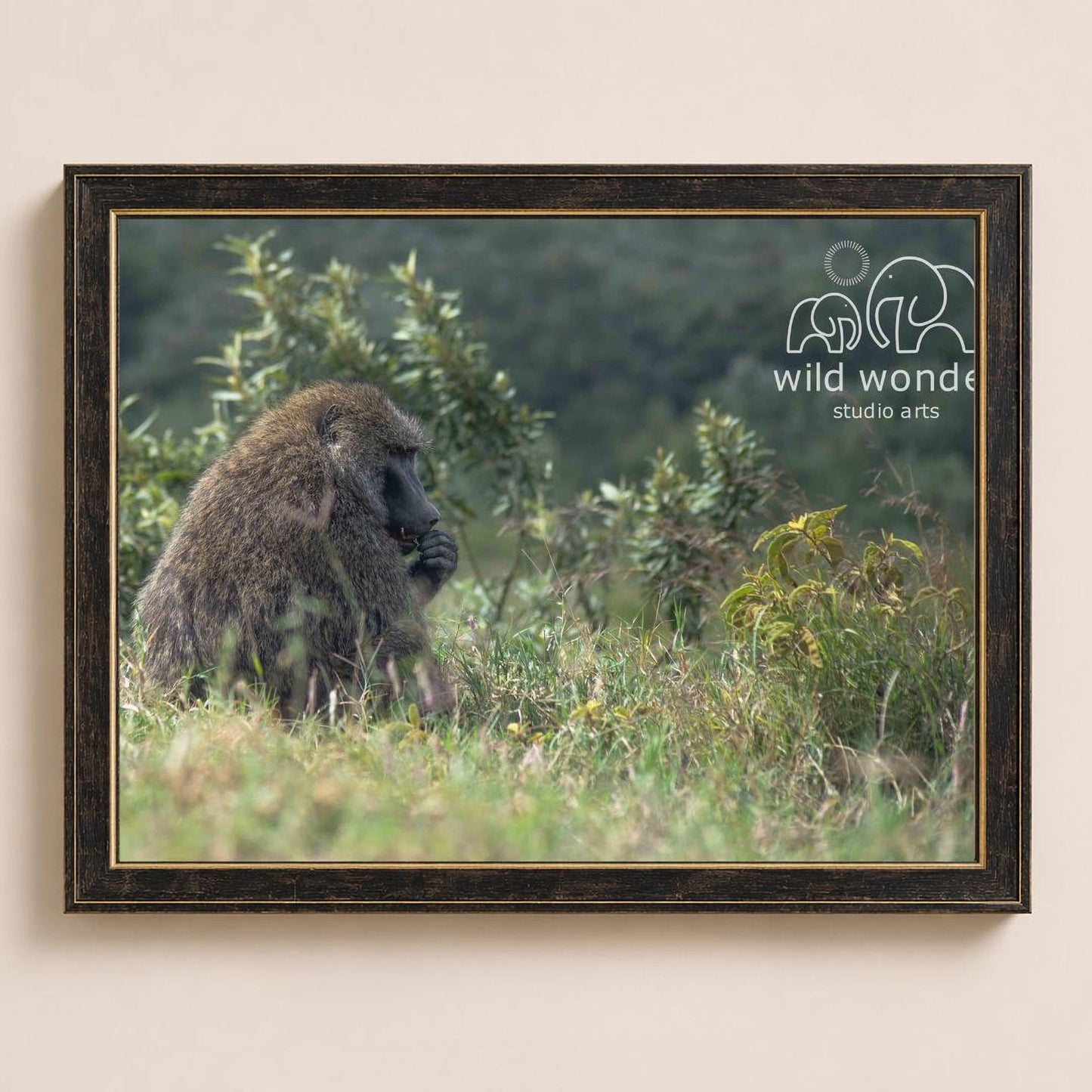 A large, furry monkey sits in a grassy field, surrounded by lush greenery.
