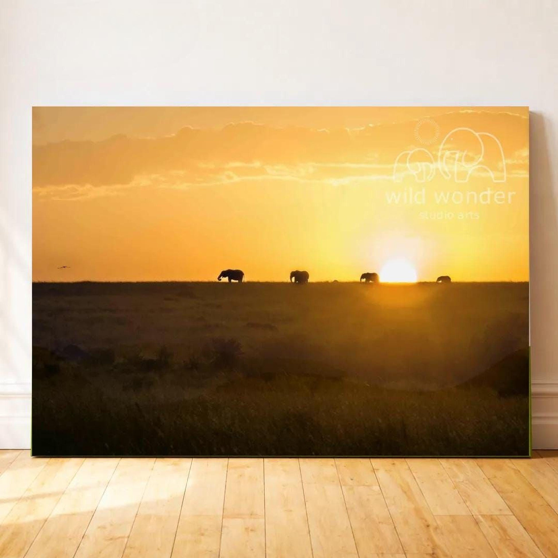 a group of elephants walking across a grassy field at sunset, with the sun setting behind them.