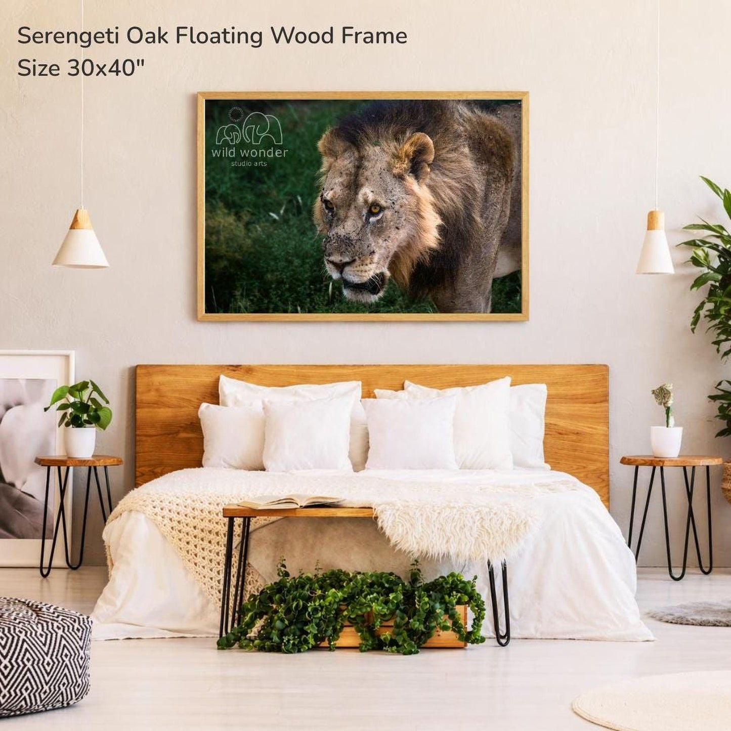 a serene bedroom setting with a large framed photograph of a lion on the wall above a bed with white bedding. The room has a wooden headboard and a wooden nightstand with a plant on it. The overall atmosphere of the room is calm and peaceful, with a focus on the natural beauty of the lion in the photograph.