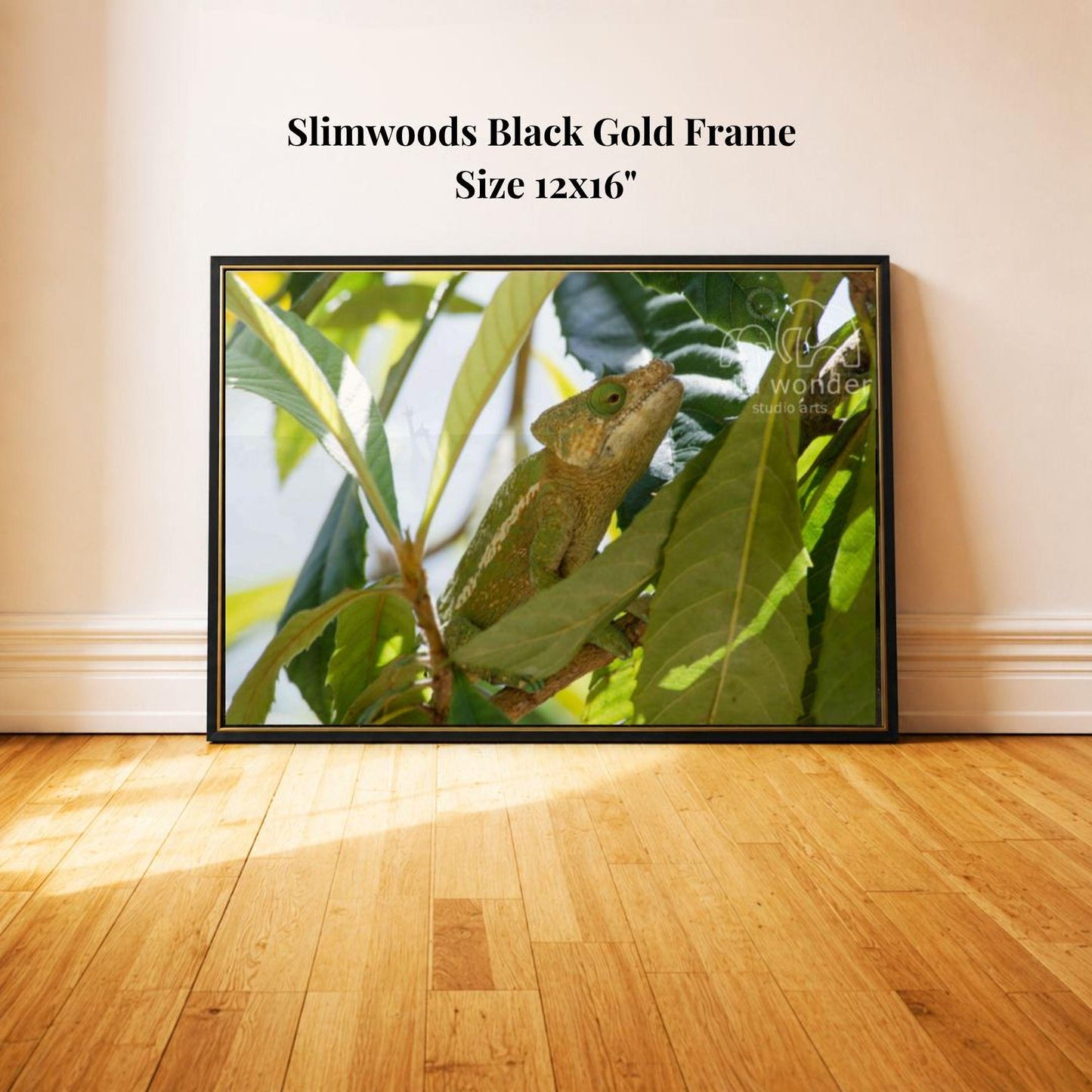 A framed photograph of a chameleon perched on a leaf, with a black frame and a gold border.