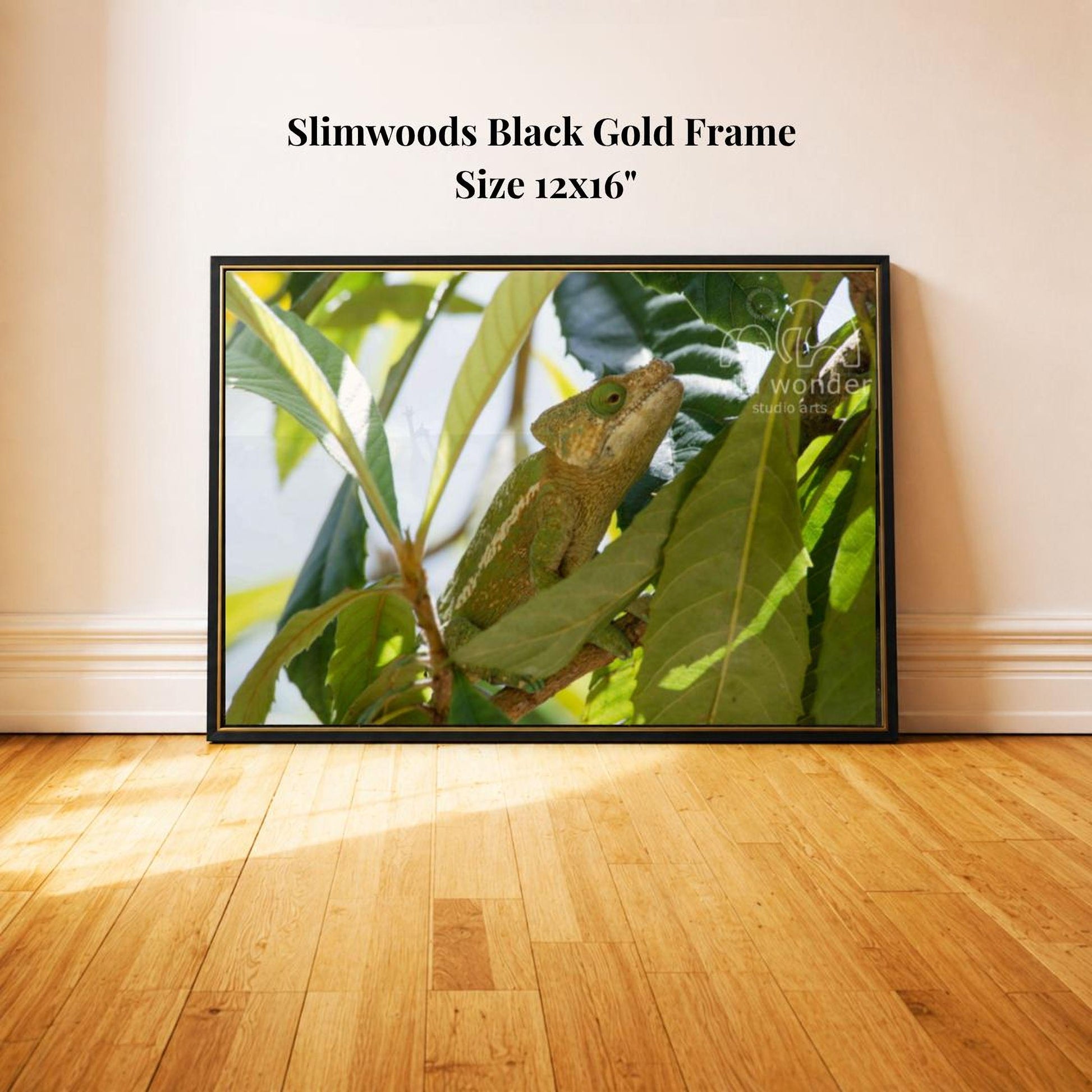 A framed photograph of a chameleon perched on a leaf, with a black frame and a gold border.
