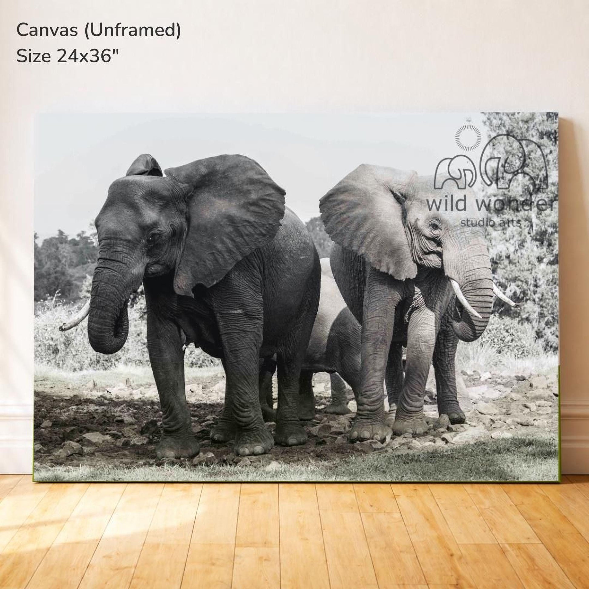 A black and white photograph of two elephants standing next to each other in a natural setting.