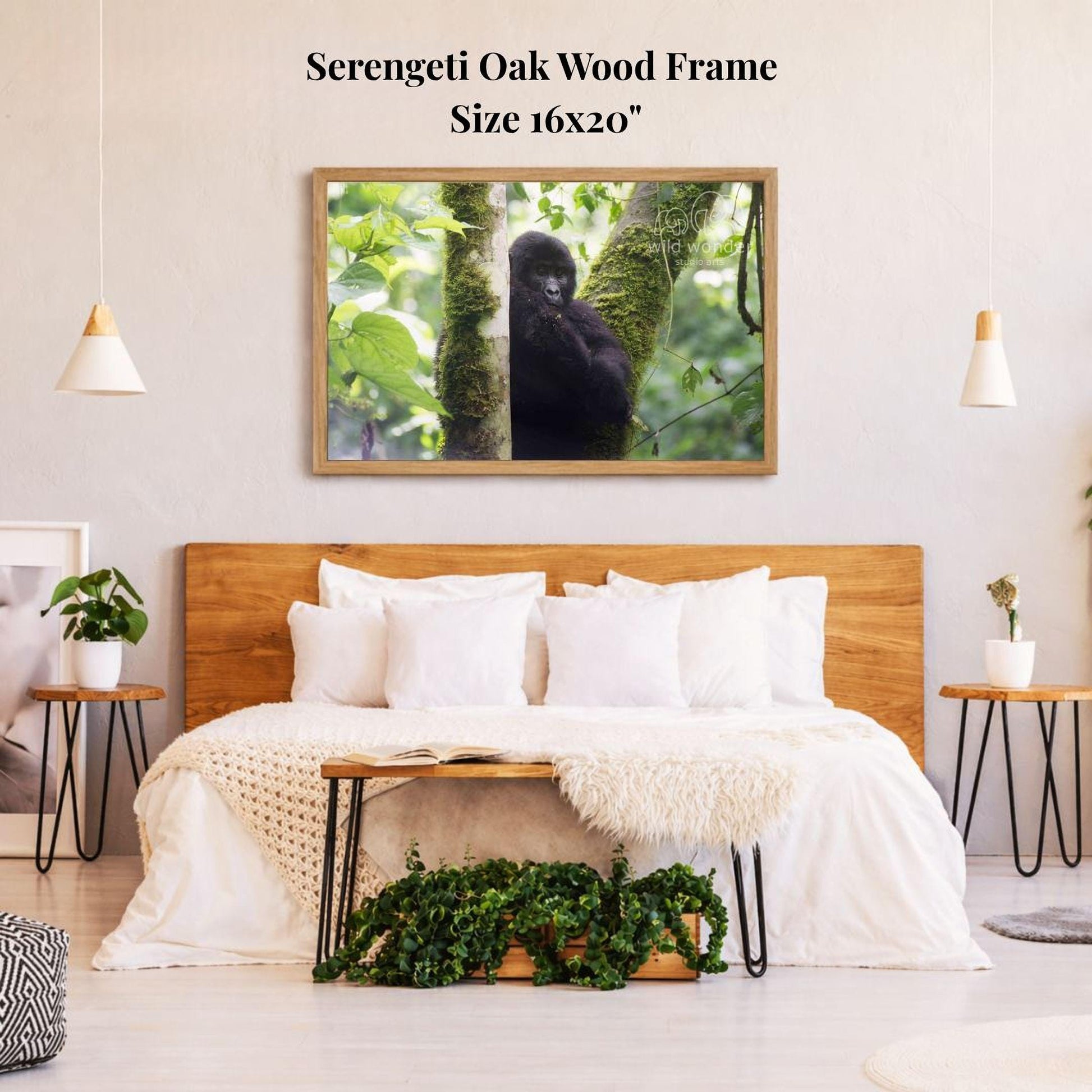 a serene bedroom scene with a large framed picture of a gorilla perched on a tree branch hanging above a bed with white bedding and pillows.