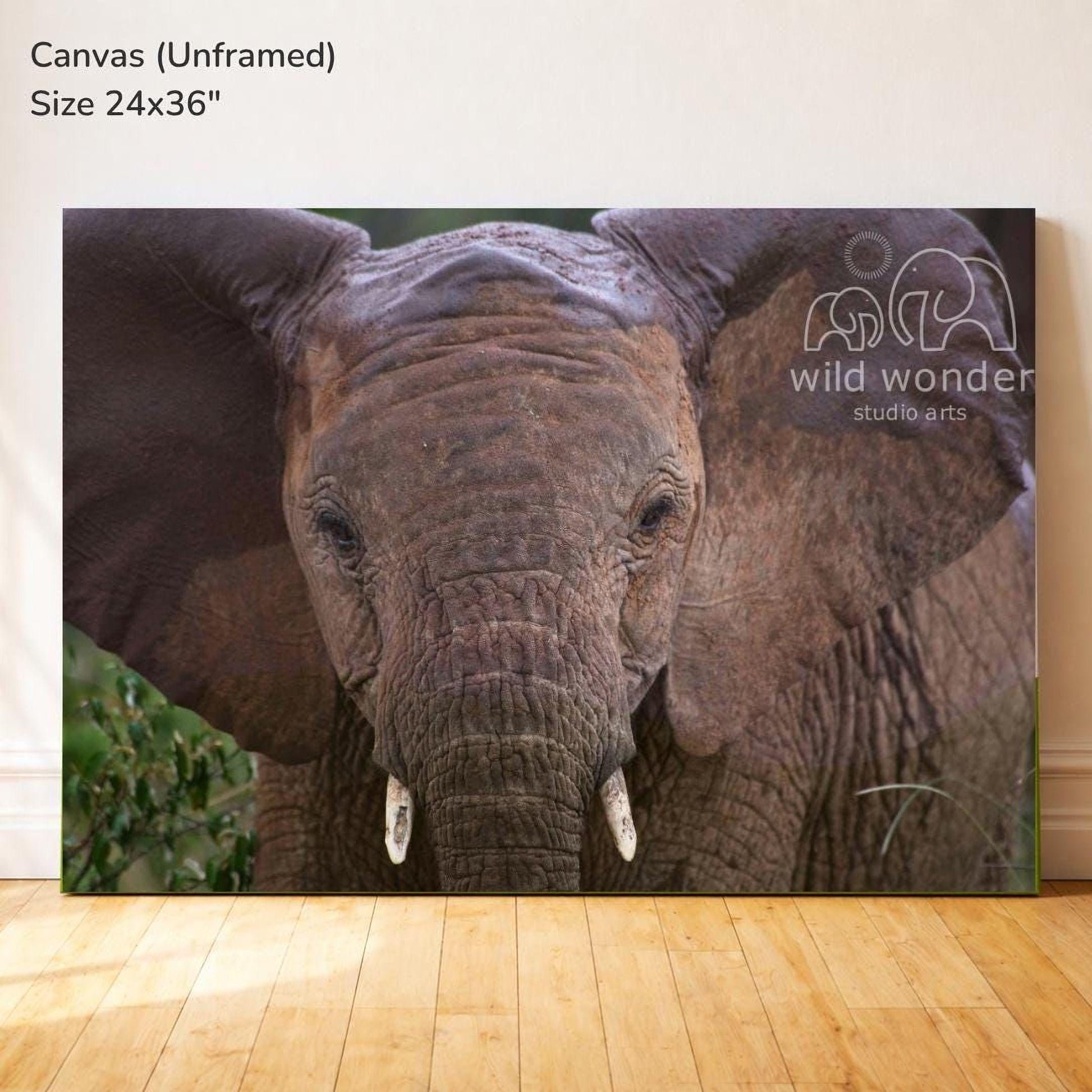 The image is a large canvas print featuring a close-up of an elephant's face, with its large ears and tusks prominently displayed.