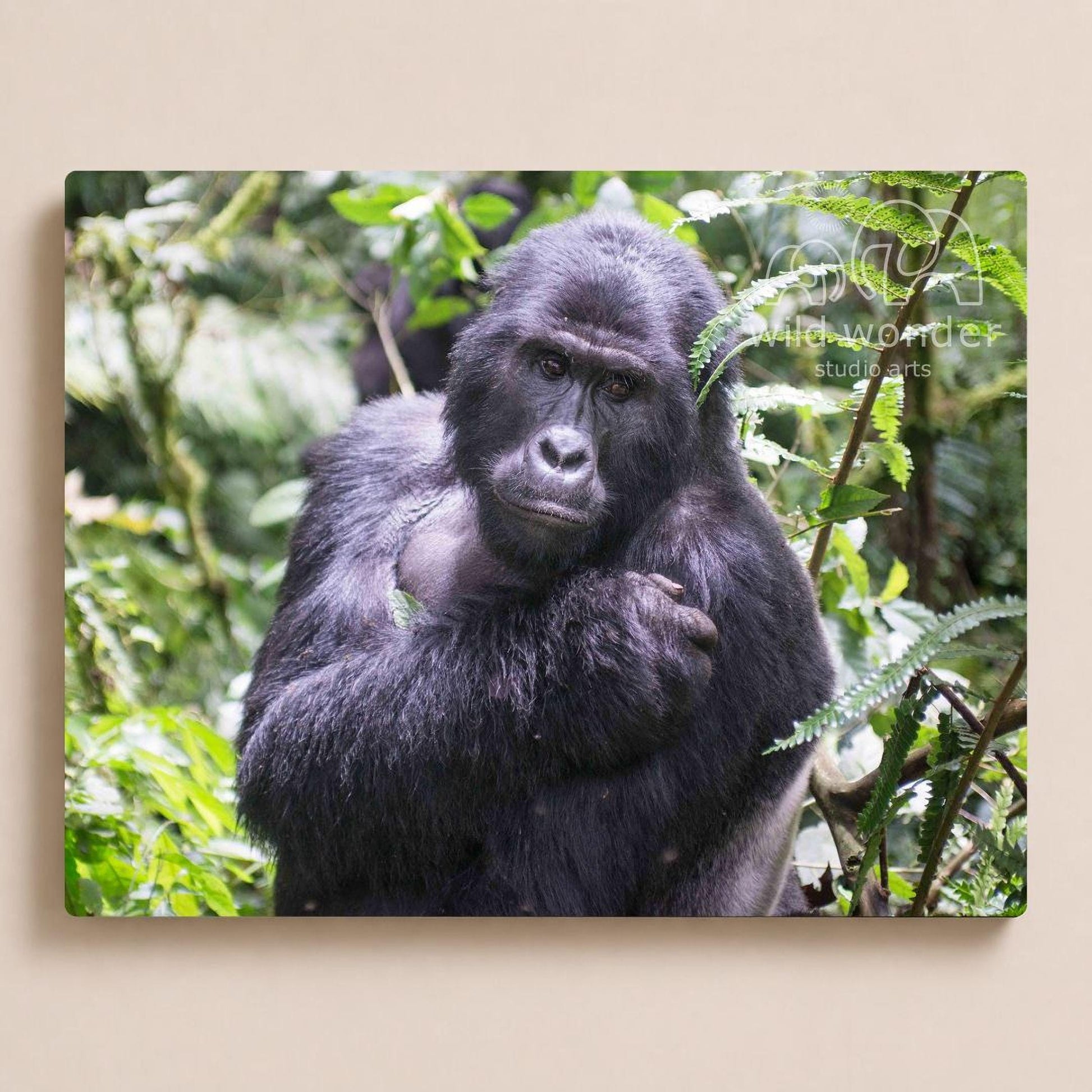 A close-up portrait of a gorilla in a lush, green forest environment.