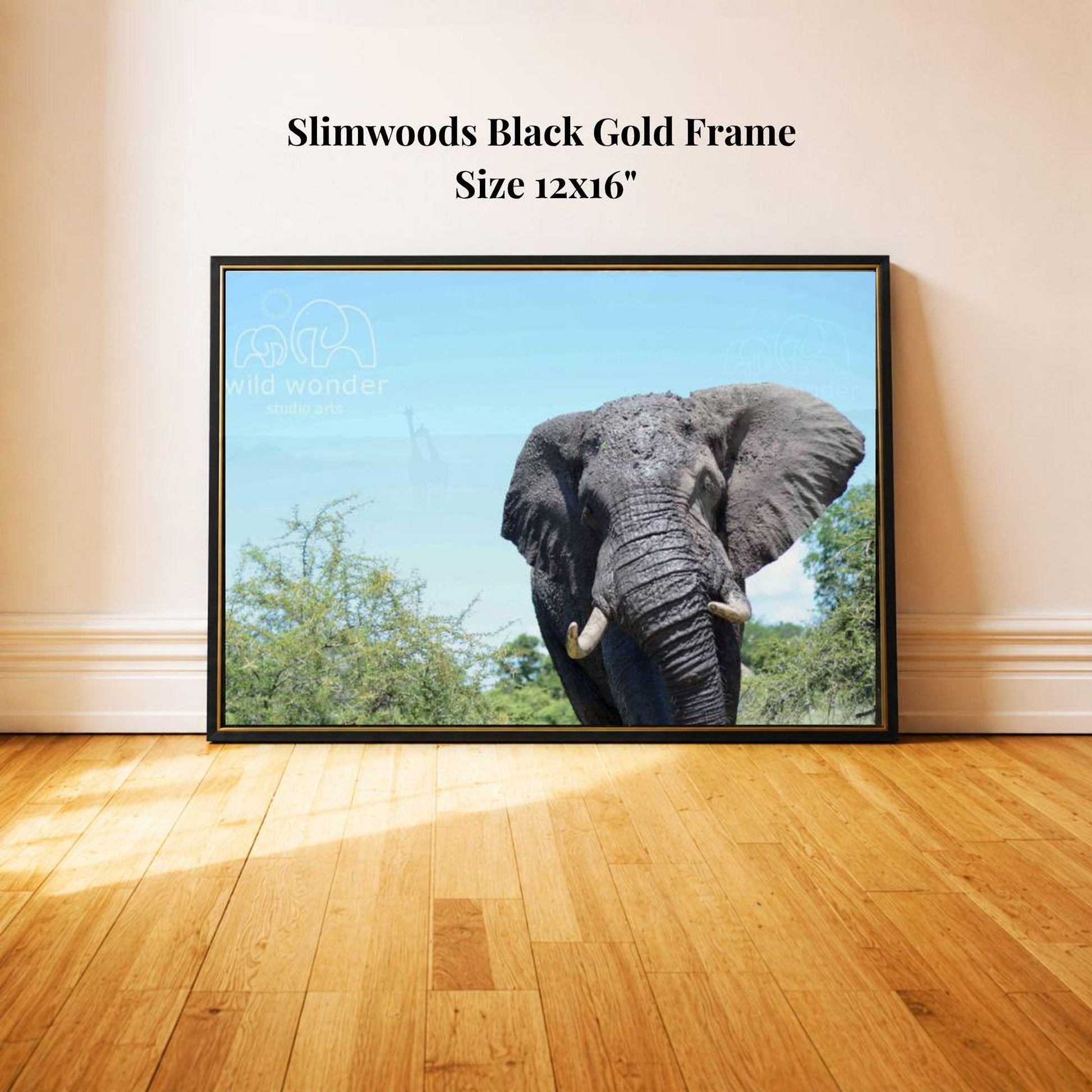 A framed photograph of an elephant standing in a natural setting, with trees and a blue sky in the background.