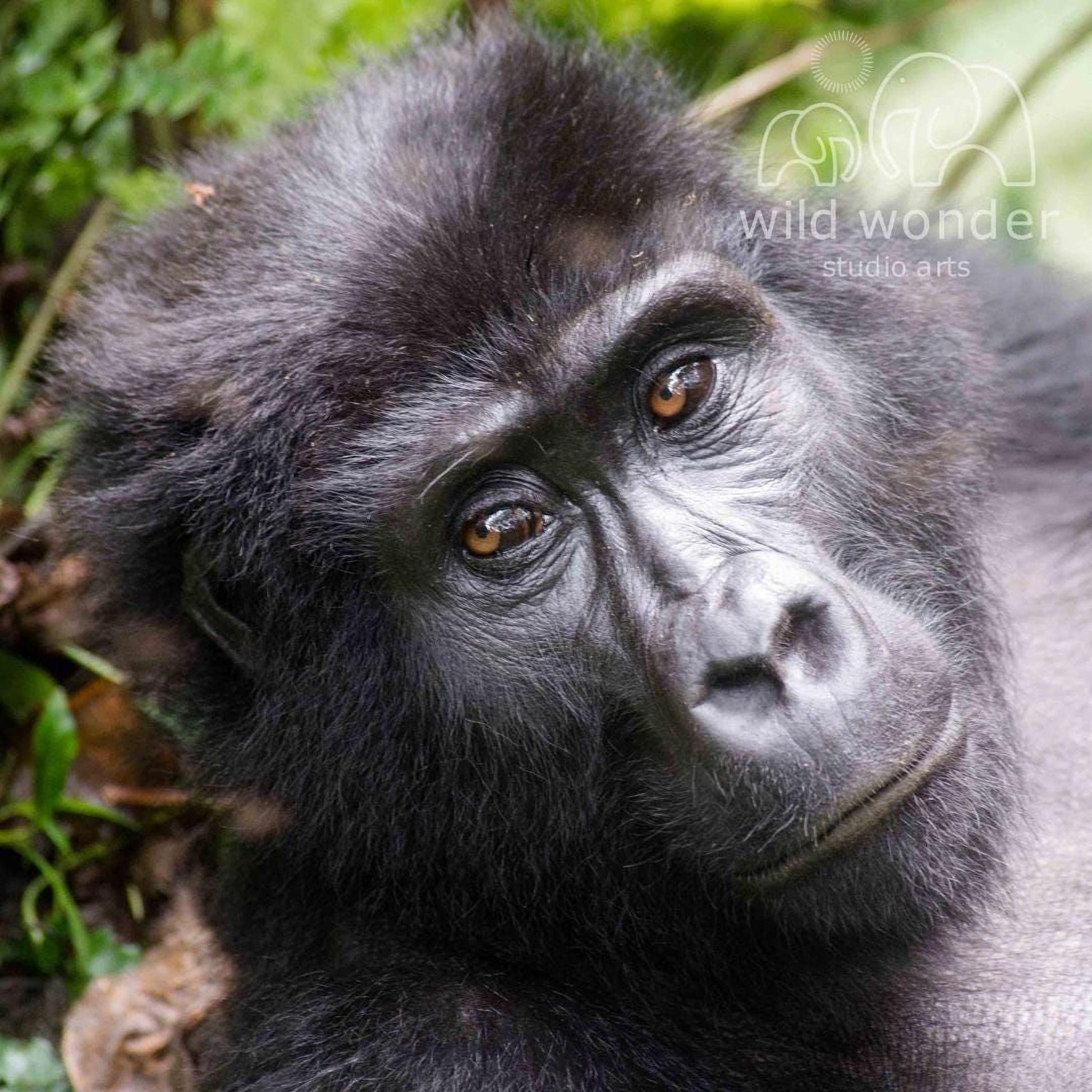 A close-up portrait of a gorilla with a thoughtful expression, surrounded by lush greenery.