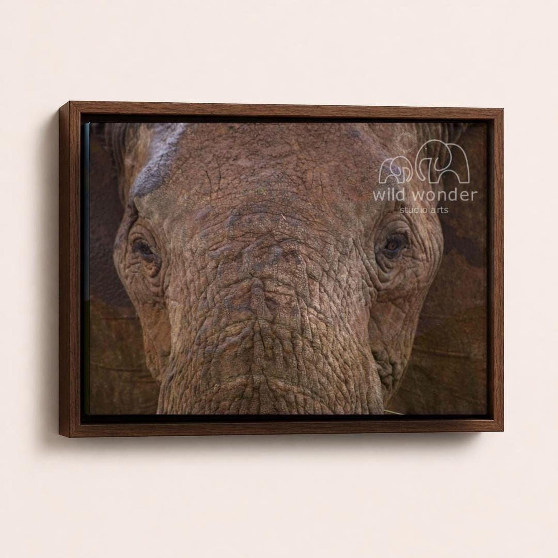 A close-up photograph of an elephant's face, with the text "wild wonder" and "wildarts" visible in the image.