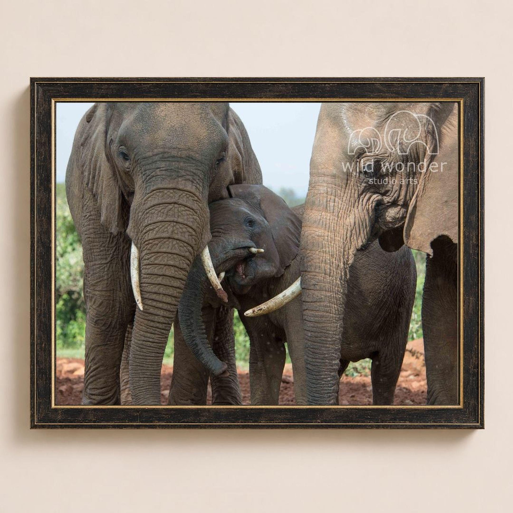 A family of elephants, including a large adult elephant and a smaller baby elephant, standing together in a natural setting.