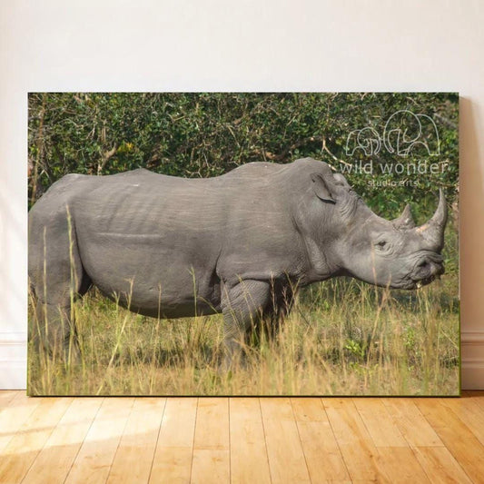 The image is a large canvas print depicting a rhinoceros standing in a grassy field with trees in the background.