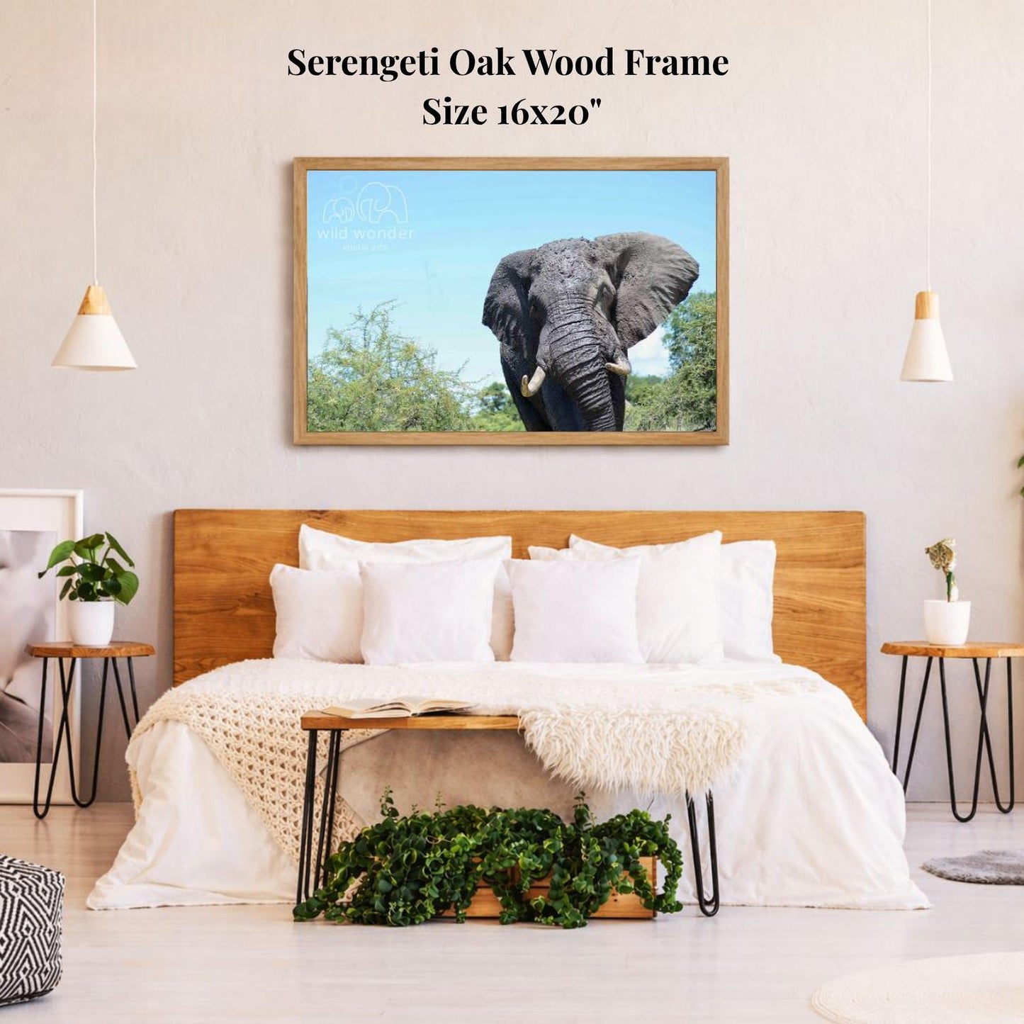 a serene bedroom setting with a large framed picture of an elephant hanging on the wall above a bed with white bedding.