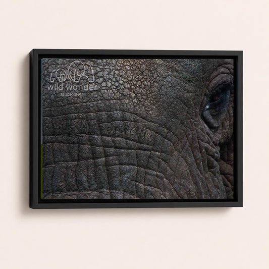 The image is a close-up of an elephant's eye, showcasing its intricate texture and depth.