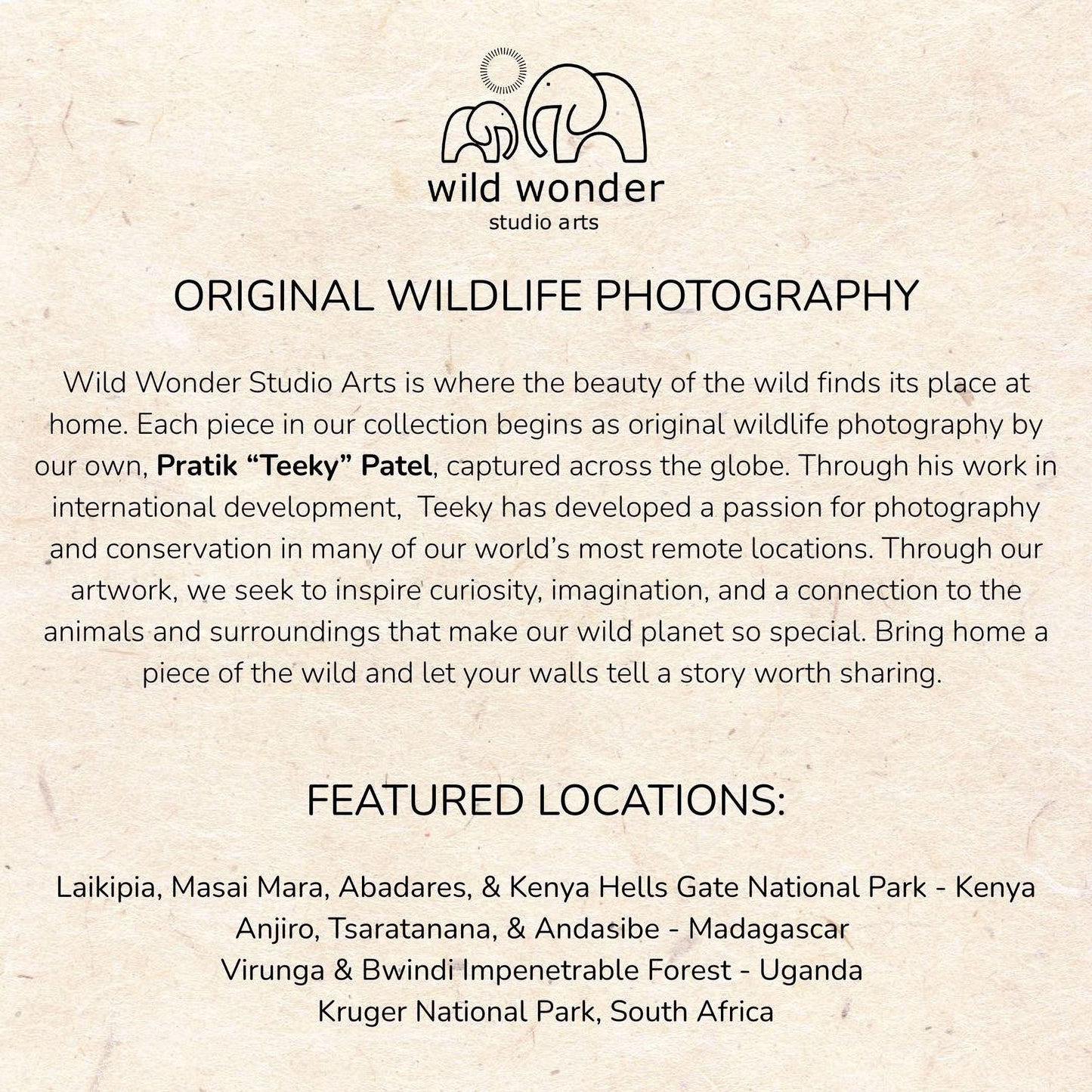 The image is a collection of wildlife photography pieces from various locations around the world, showcasing the beauty of the wild and the passion for photography in different environments.