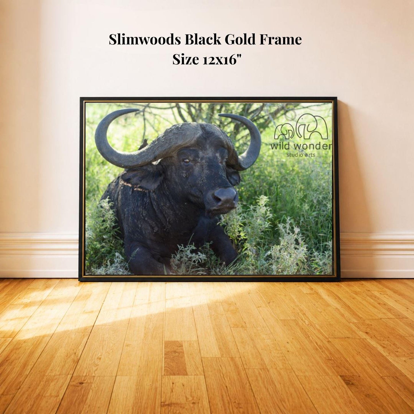 A black buffalo with large curved horns is sitting in a grassy area, framed in a black gold frame.