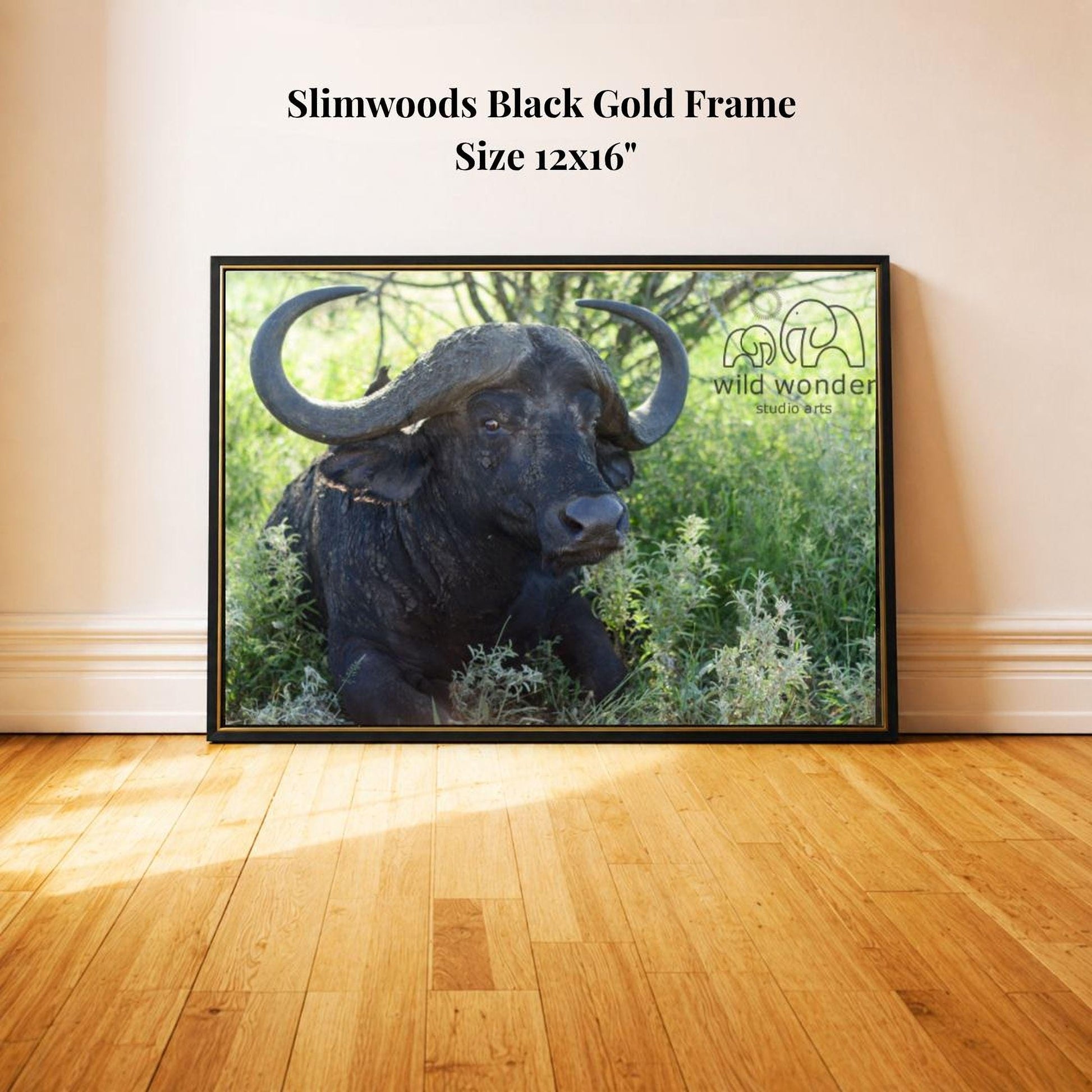 A black buffalo with large curved horns is sitting in a grassy area, framed in a black gold frame.