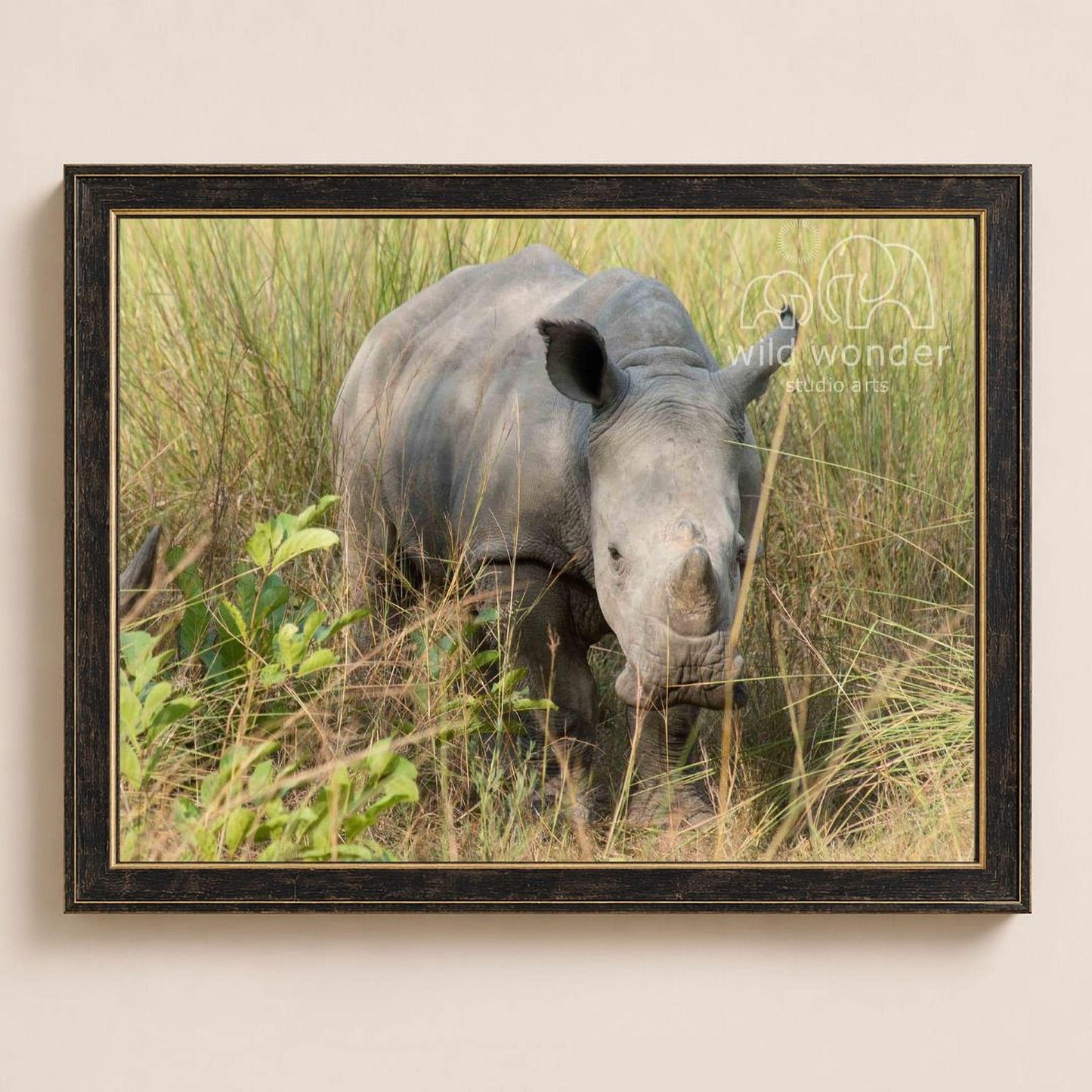 A rhinoceros standing in tall grass, with its head lowered and mouth open, in a natural setting.