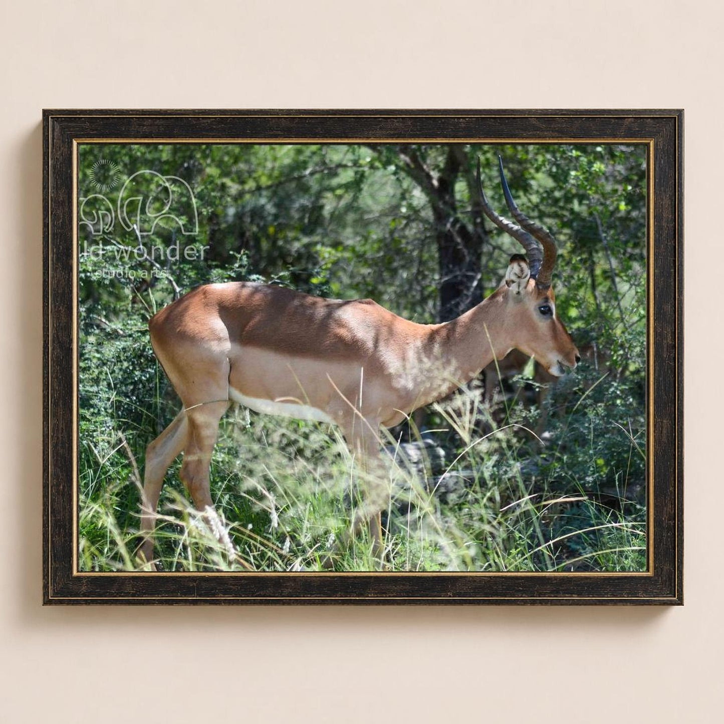 A brown antelope with long horns stands in a grassy field surrounded by trees.