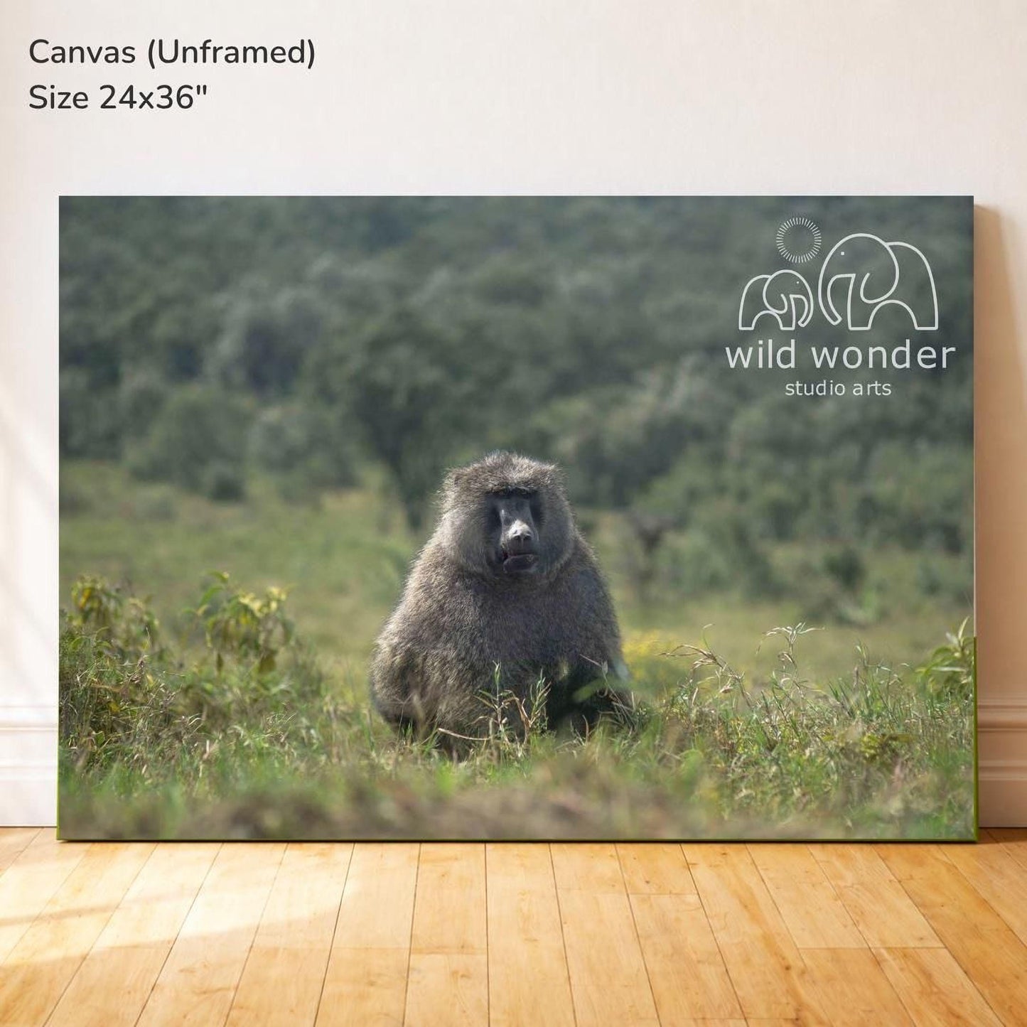 The image is a large canvas print depicting a baboon sitting in a grassy field.