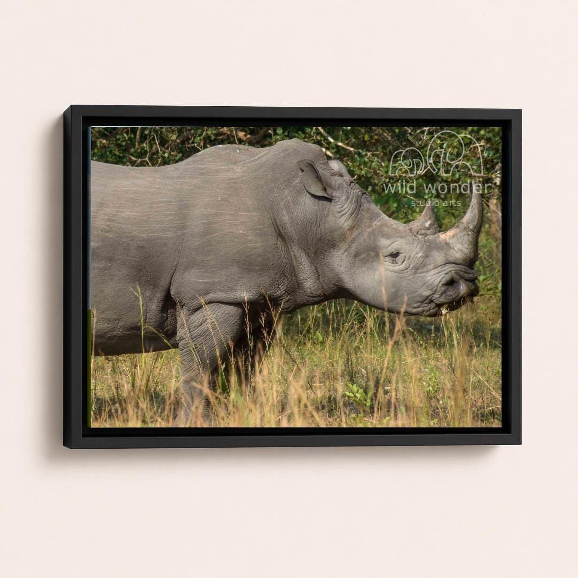 A rhinoceros standing in a grassy field with trees in the background.