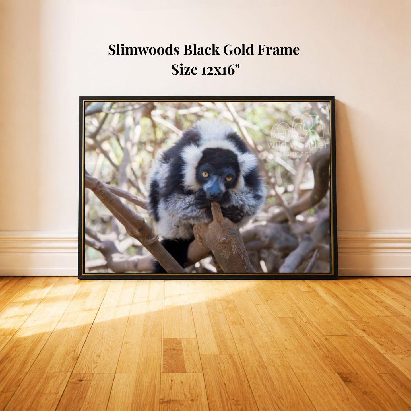 A black and white lemur is perched on a tree branch, with its head resting on its hand, in a framed photograph.