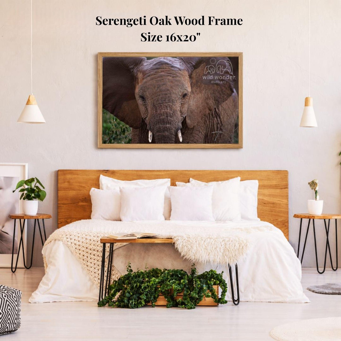 a serene bedroom setting with a large, 16x20" framed photograph of an elephant hanging on the wall above a bed with white bedding.