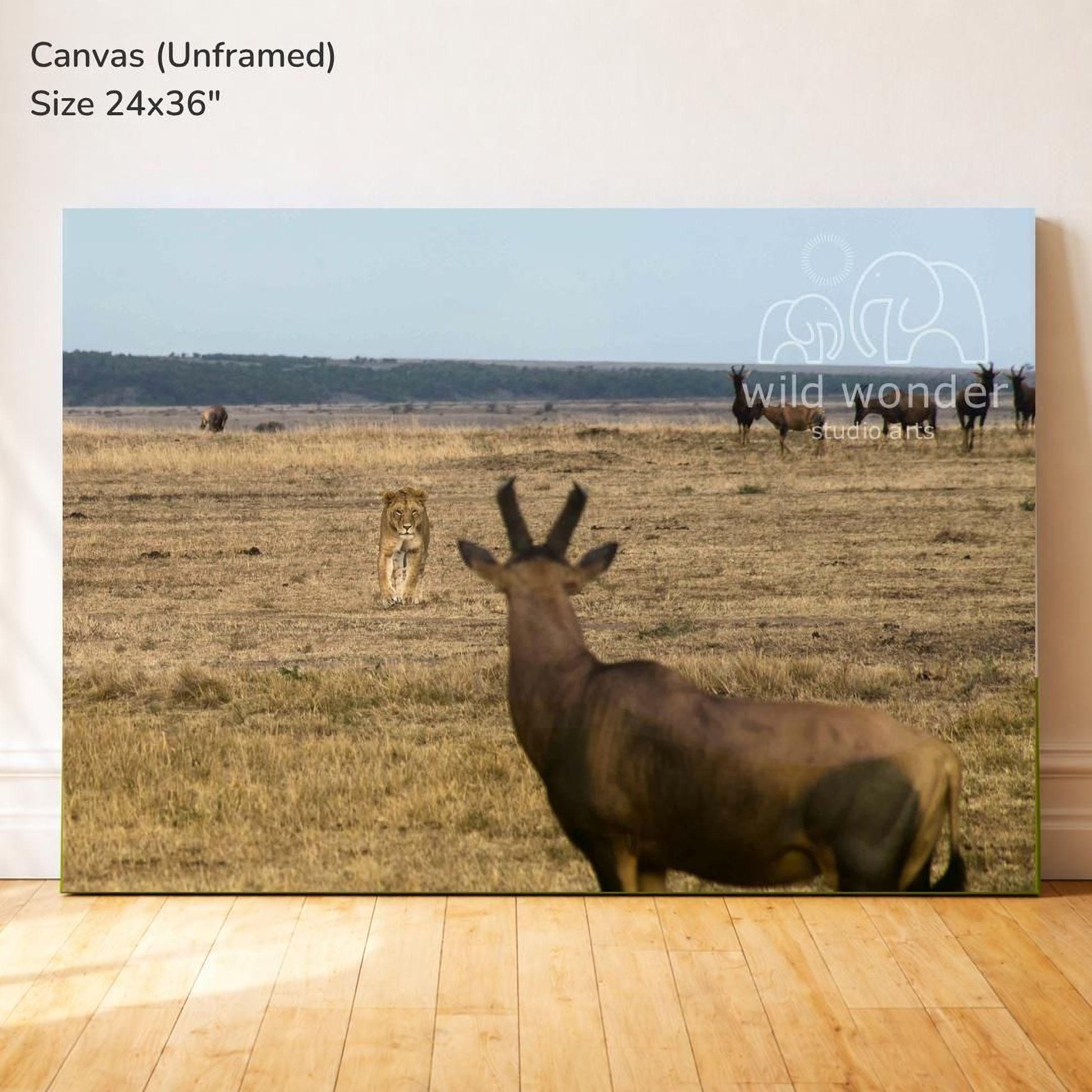 a lion and a wildebeest in a grassy field, with the lion standing in the background and the wildebeest in the foreground.