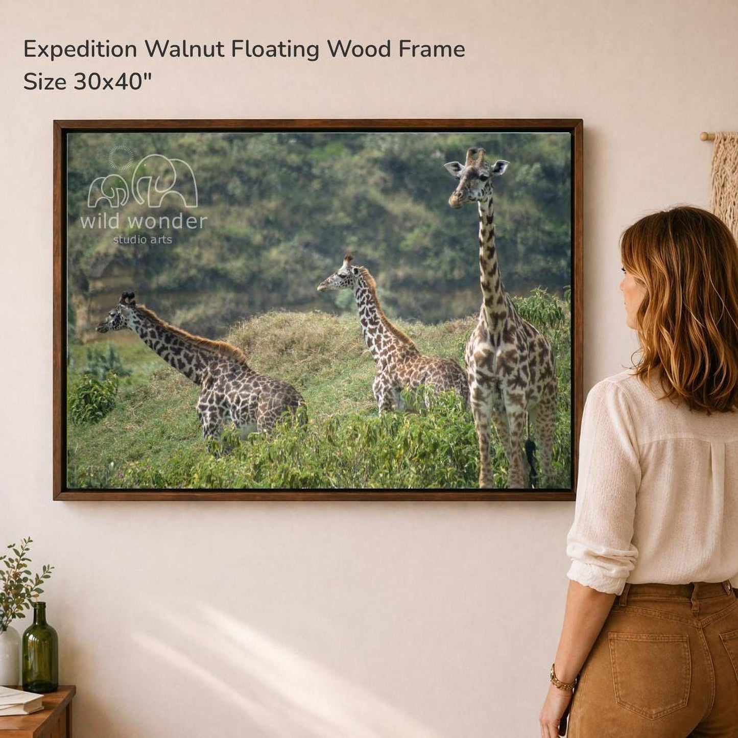 A woman is standing in front of a large framed photograph of three giraffes in a grassy field, looking at the artwork.