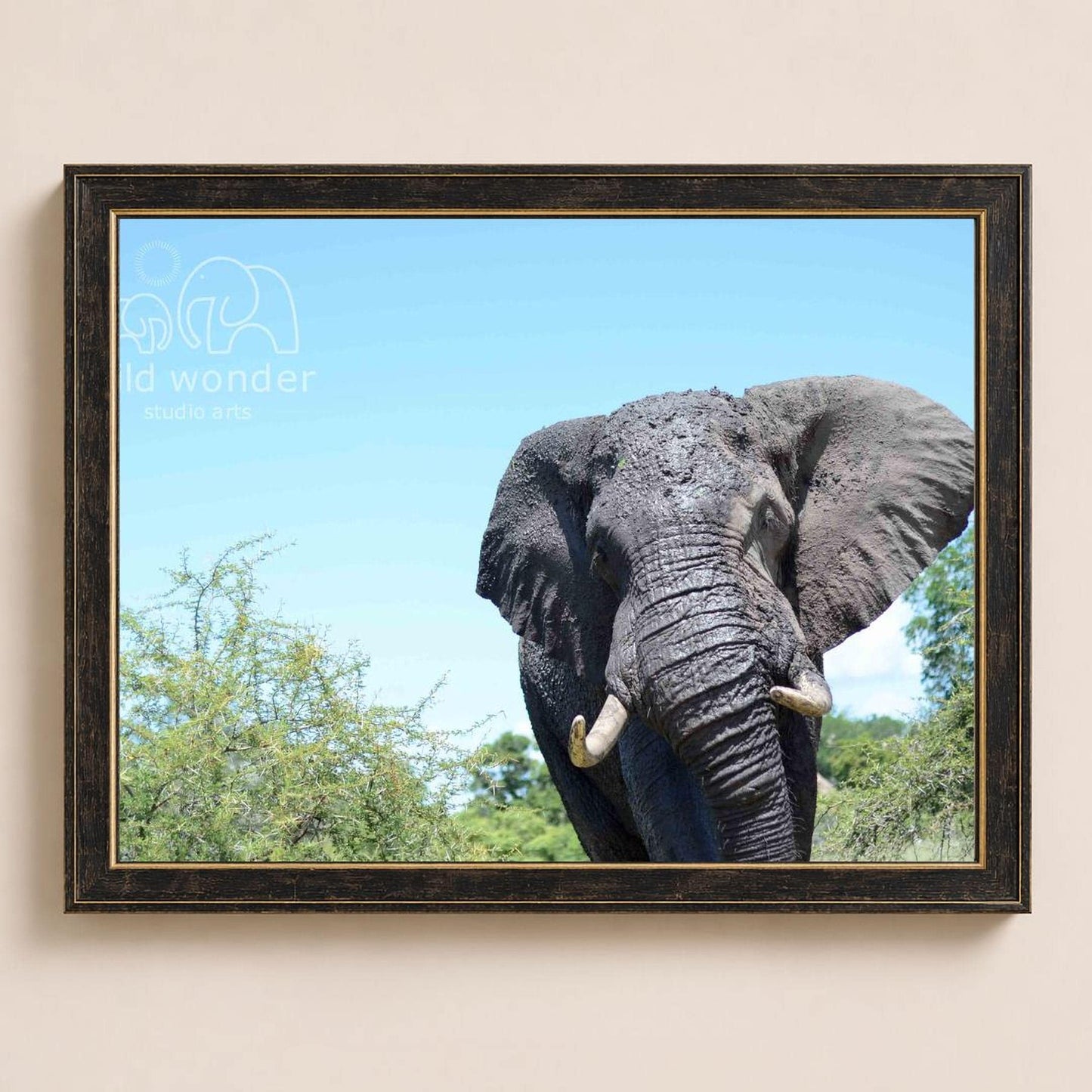 A large gray elephant with large tusks stands in a lush green forest, its trunk extended towards the viewer.