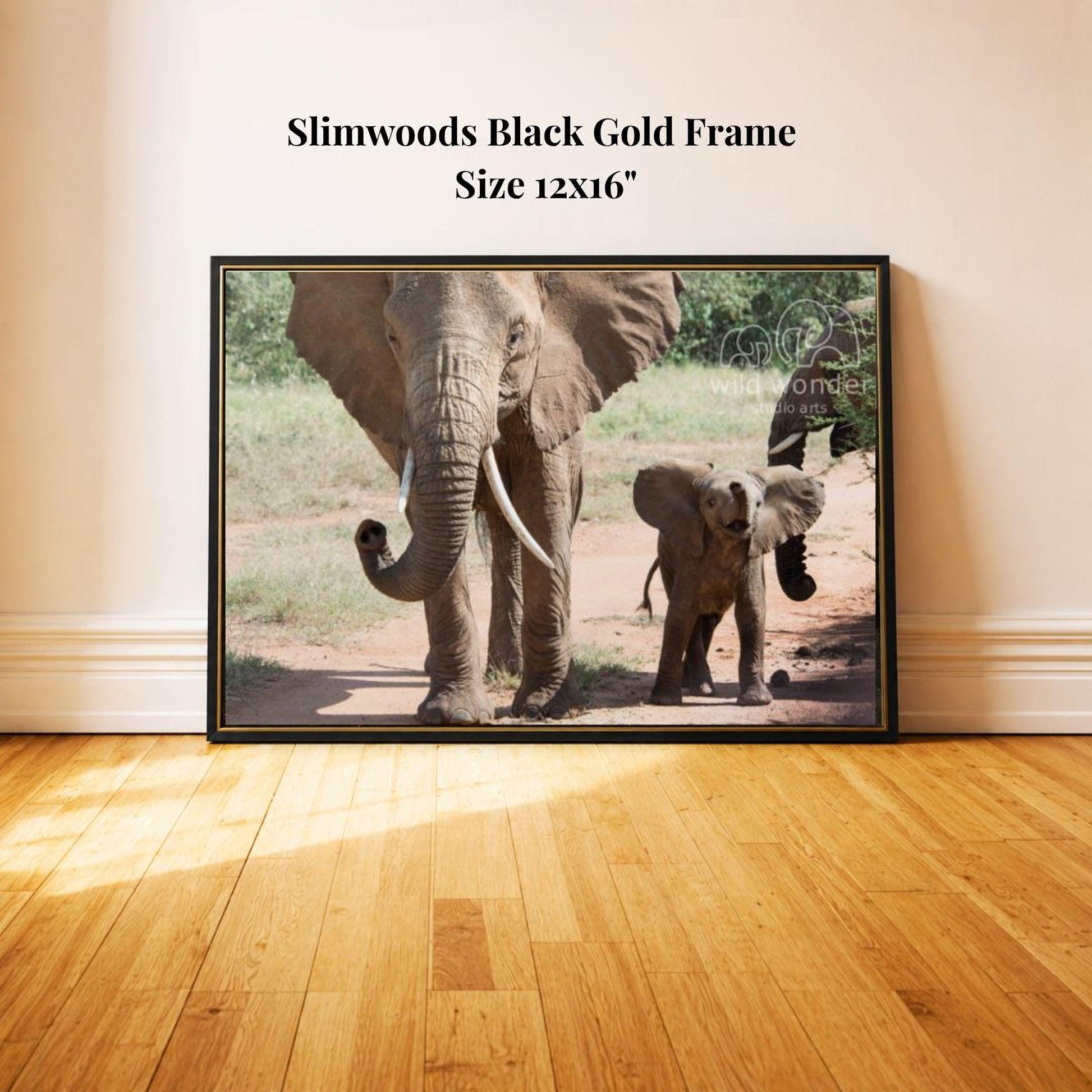 A black gold frame containing a photograph of two elephants, one adult and one juvenile, standing on a dirt path surrounded by trees.