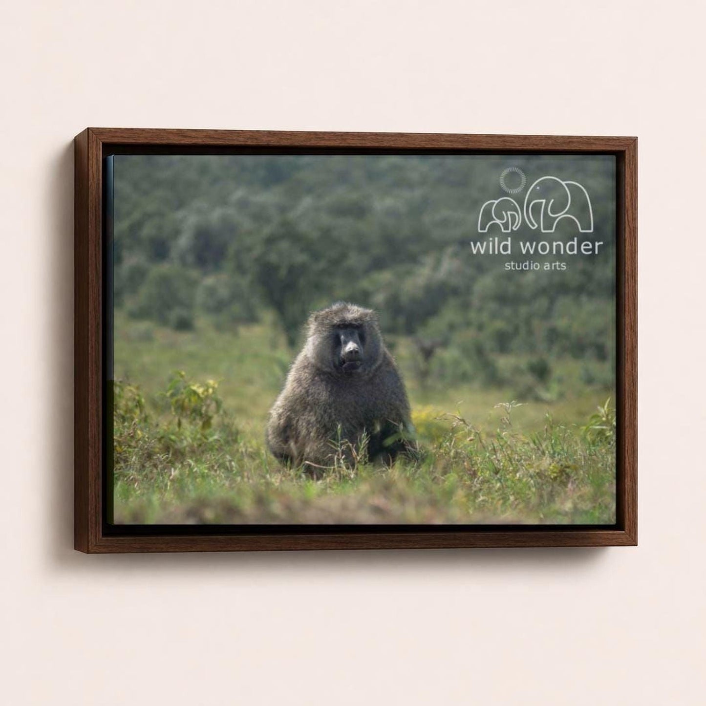 A large, furry animal, possibly a monkey or a bear, sitting in a grassy field with trees in the background.