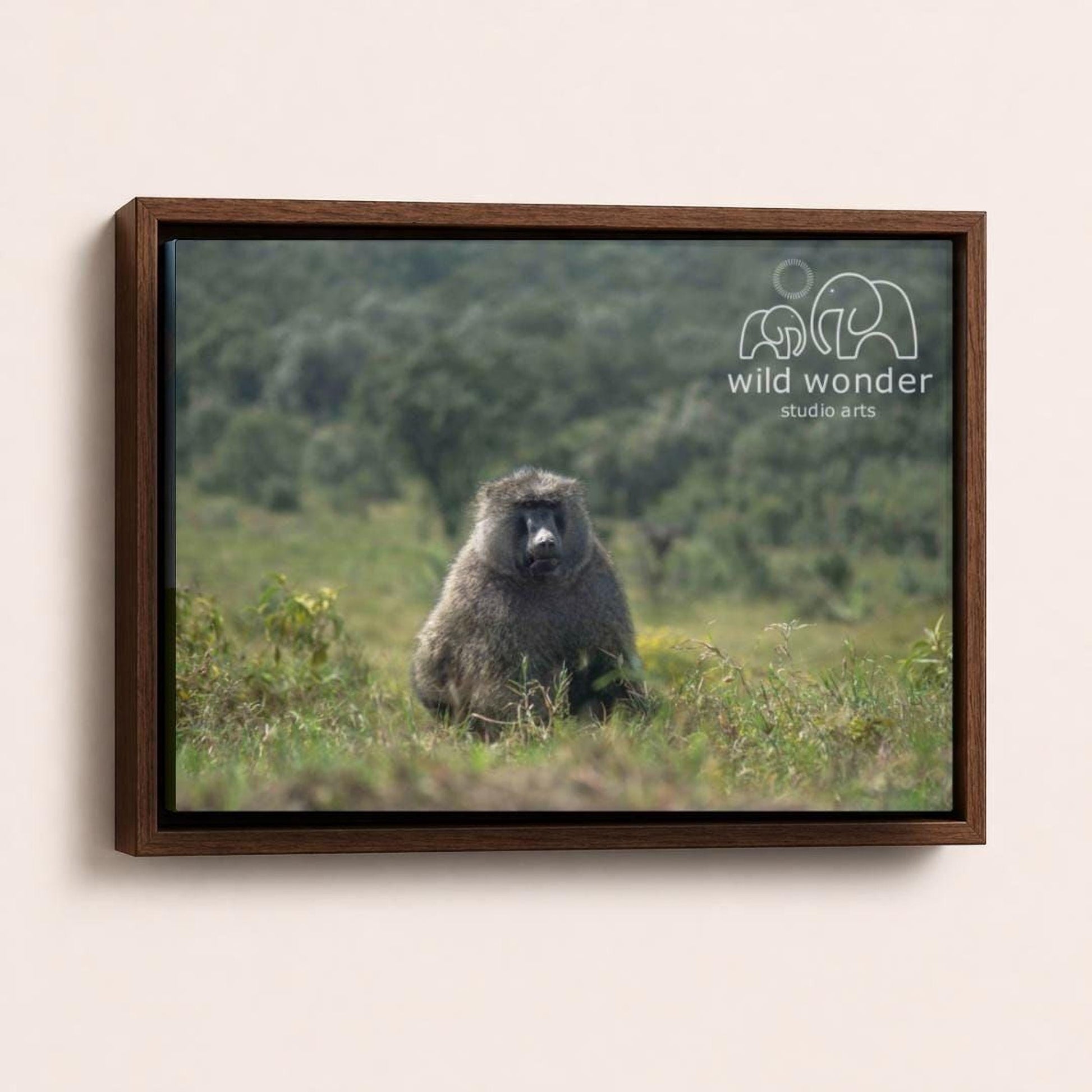 A large, furry animal, possibly a monkey or a bear, sitting in a grassy field with trees in the background.