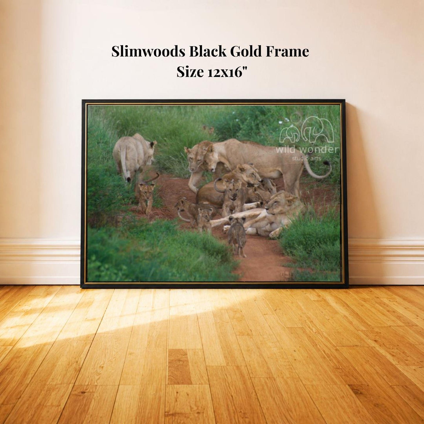 A framed photograph of a group of lions in a natural setting, with a black gold frame and a size of 12x16 inches.