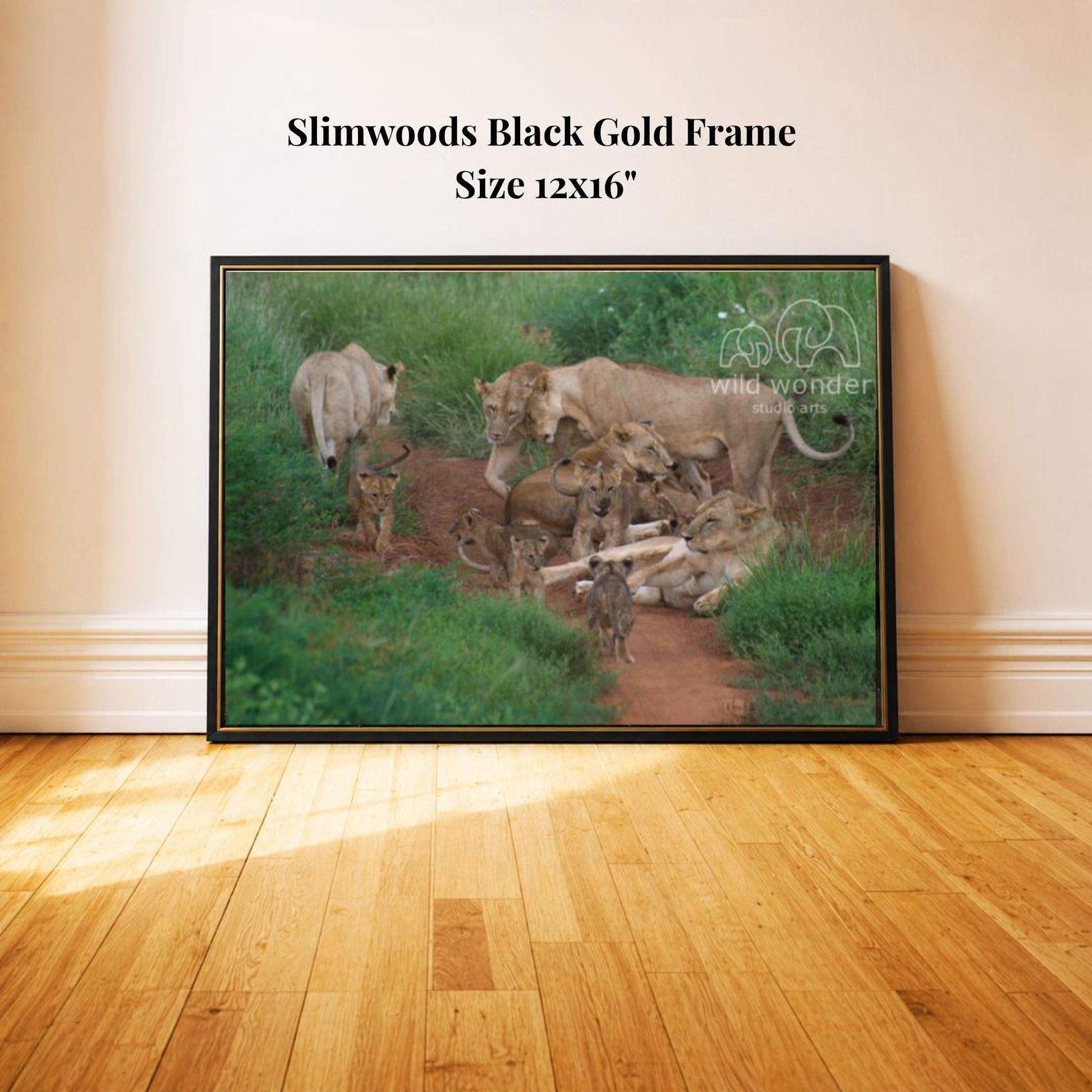 A framed photograph of a group of lions in a natural setting, with a black gold frame and a size of 12x16 inches.