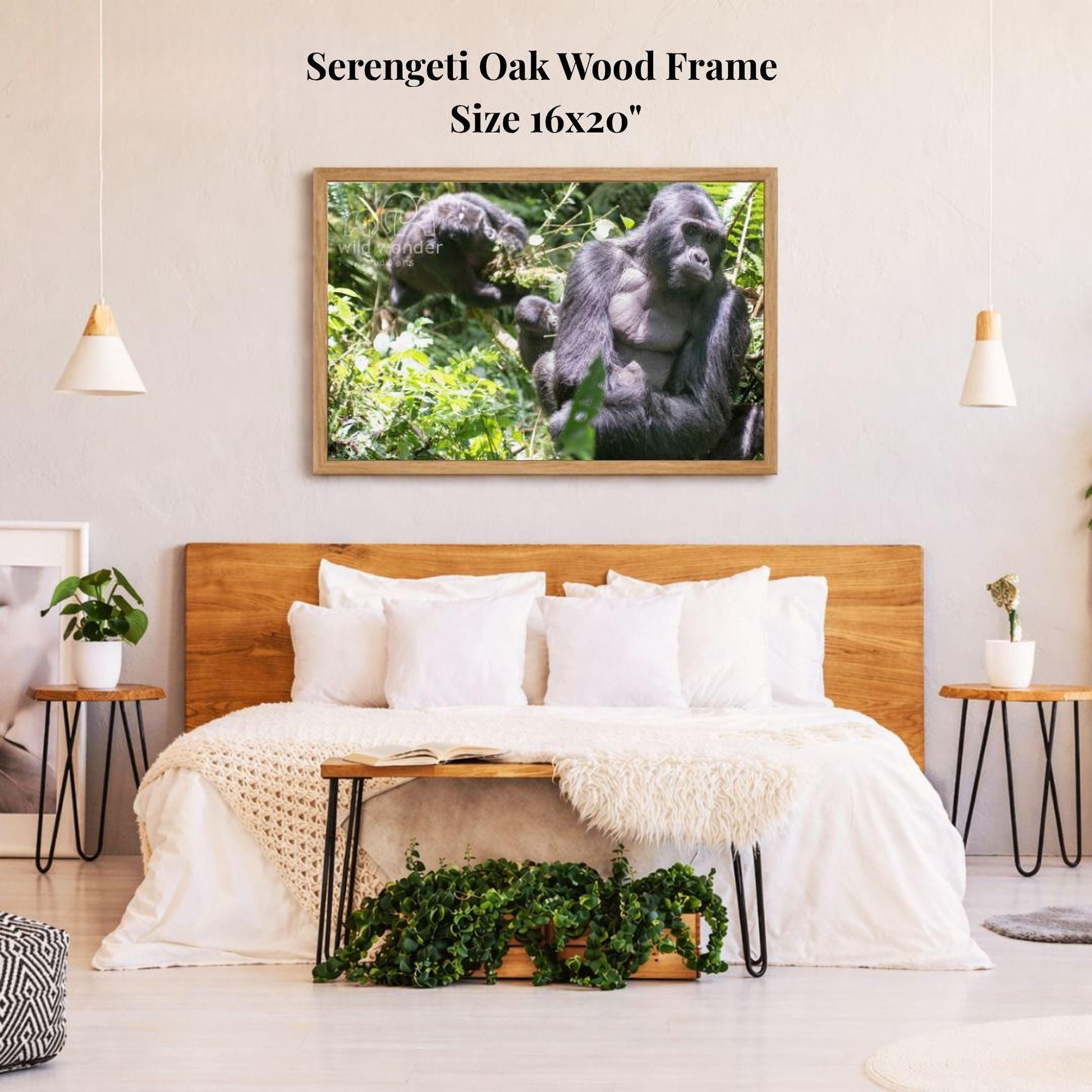 a serene bedroom scene with a large framed photograph of two gorillas in their natural habitat hanging on the wall above a bed with white bedding.