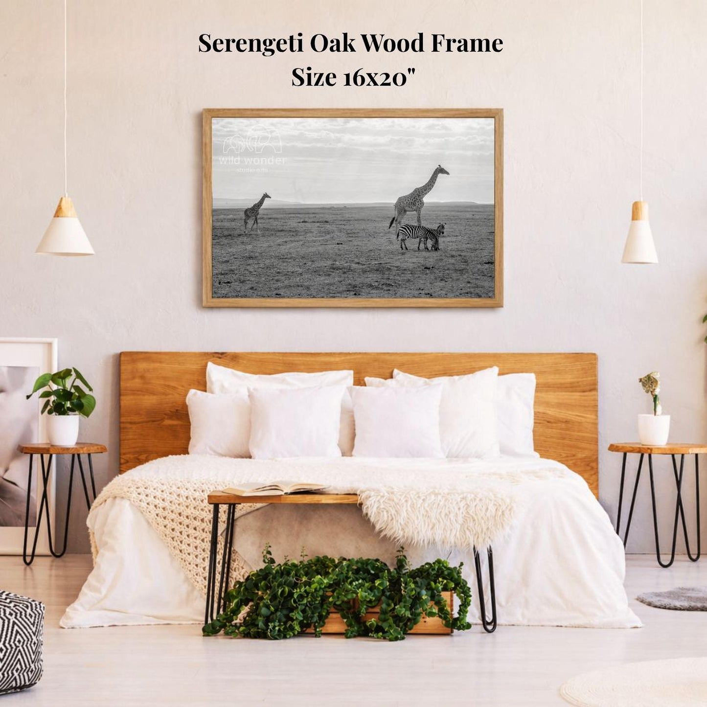a serene bedroom scene with a large framed photograph of three giraffes and a zebra hanging on the wall above a bed with white bedding.