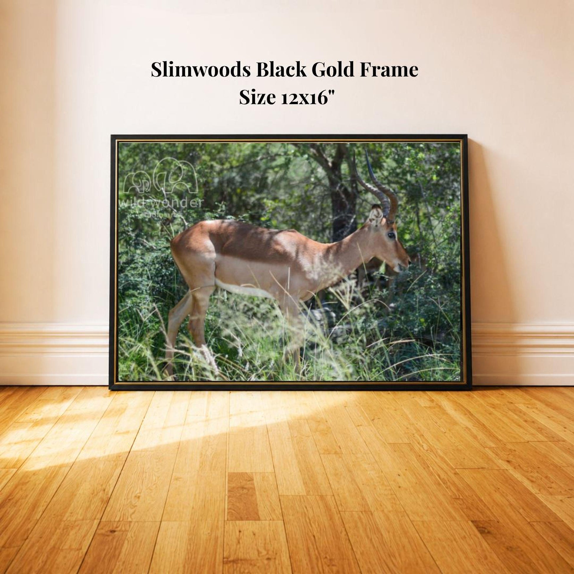 A black and gold framed photograph of a gazelle in a grassy, wooded area.