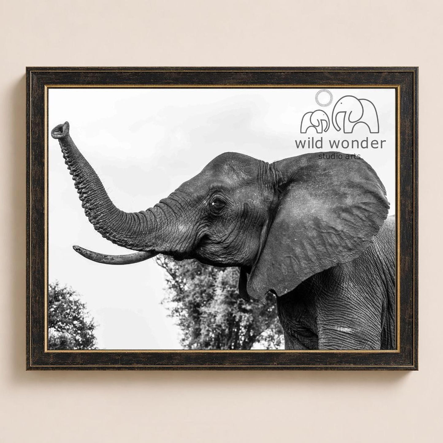 A black and white photograph of an elephant with its trunk extended, framed in a black frame and displaying the logo for "wild wonder" and "wild wonder art" on the right side.