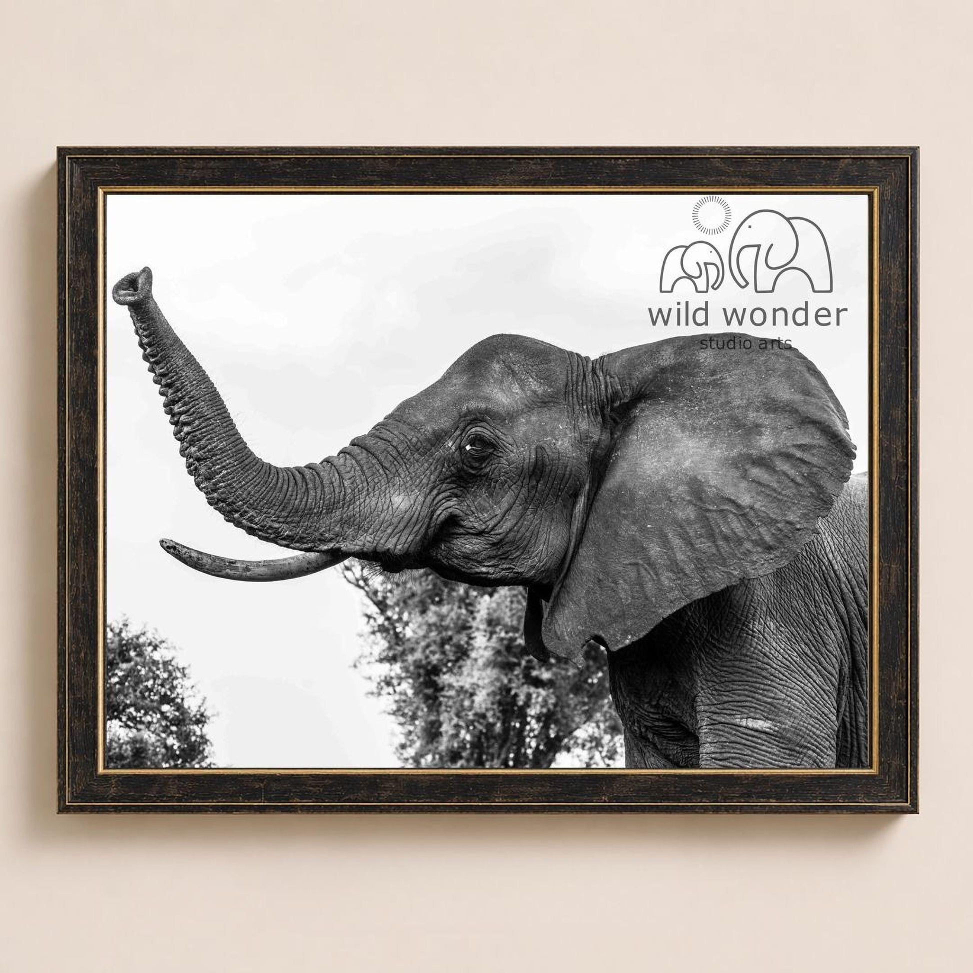 A black and white photograph of an elephant with its trunk extended, framed in a black frame and displaying the logo for "wild wonder" and "wild wonder art" on the right side.