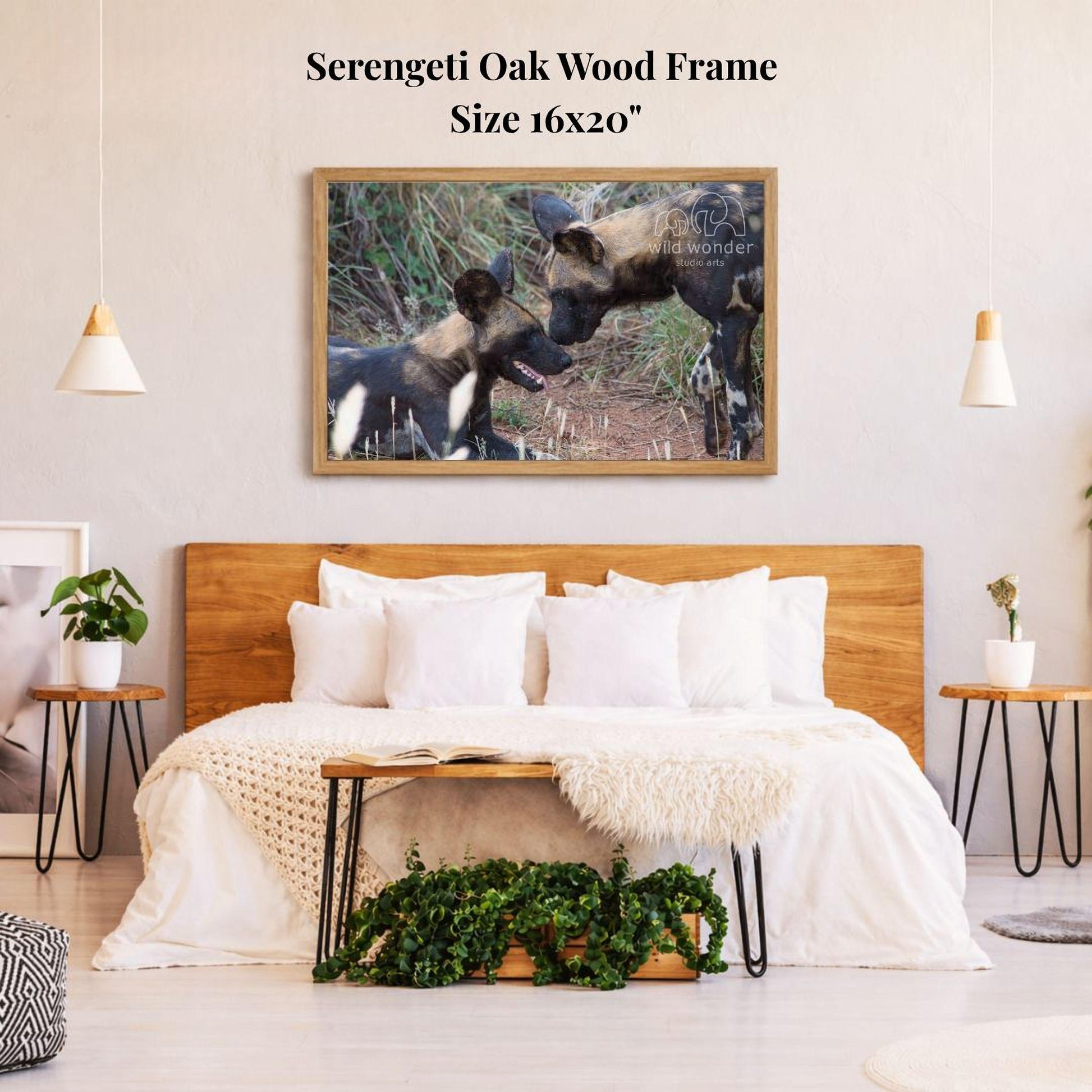 a serene bedroom scene with a large, 16x20" framed photograph of two wild dogs resting in the grass on the wall above a bed with white bedding.