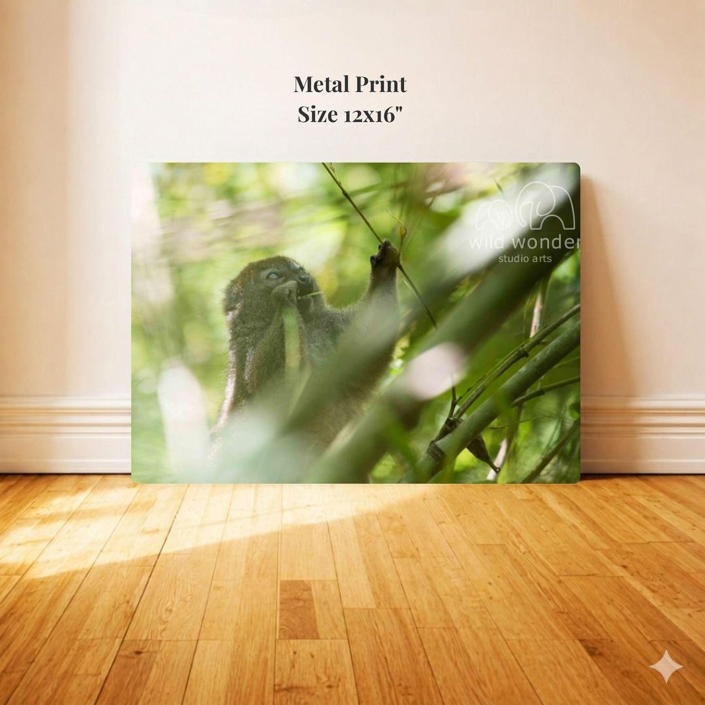 Metal Print: Size 12x16"