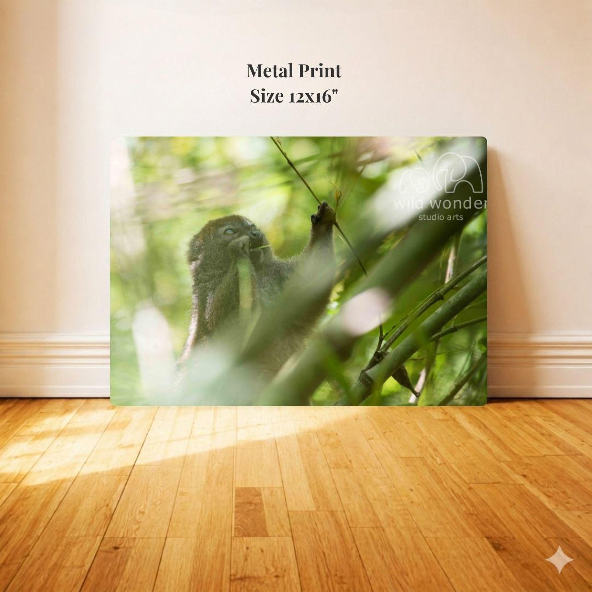 Metal Print: Size 12x16"