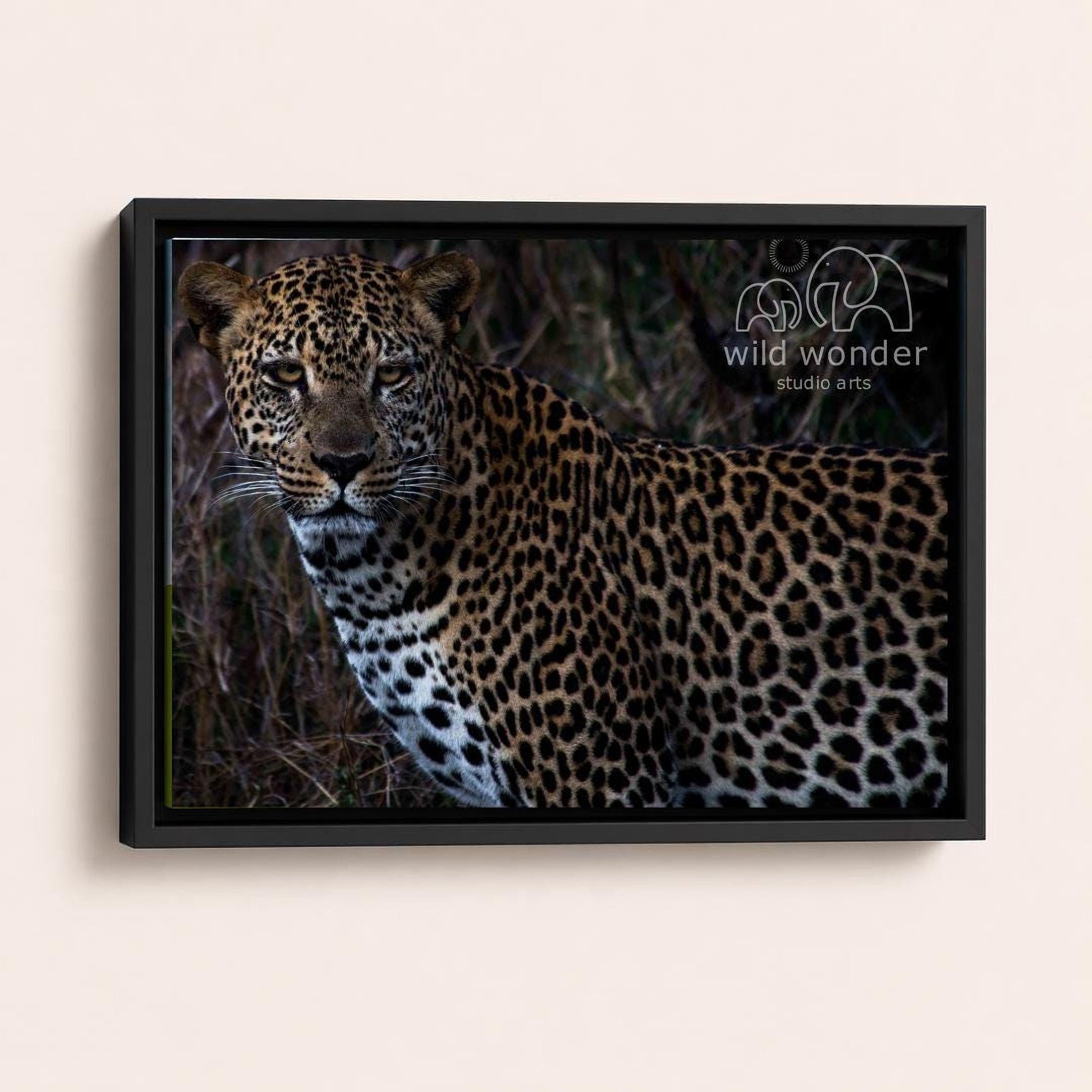 A leopard standing in a natural environment, with its distinctive spotted coat and alert expression.