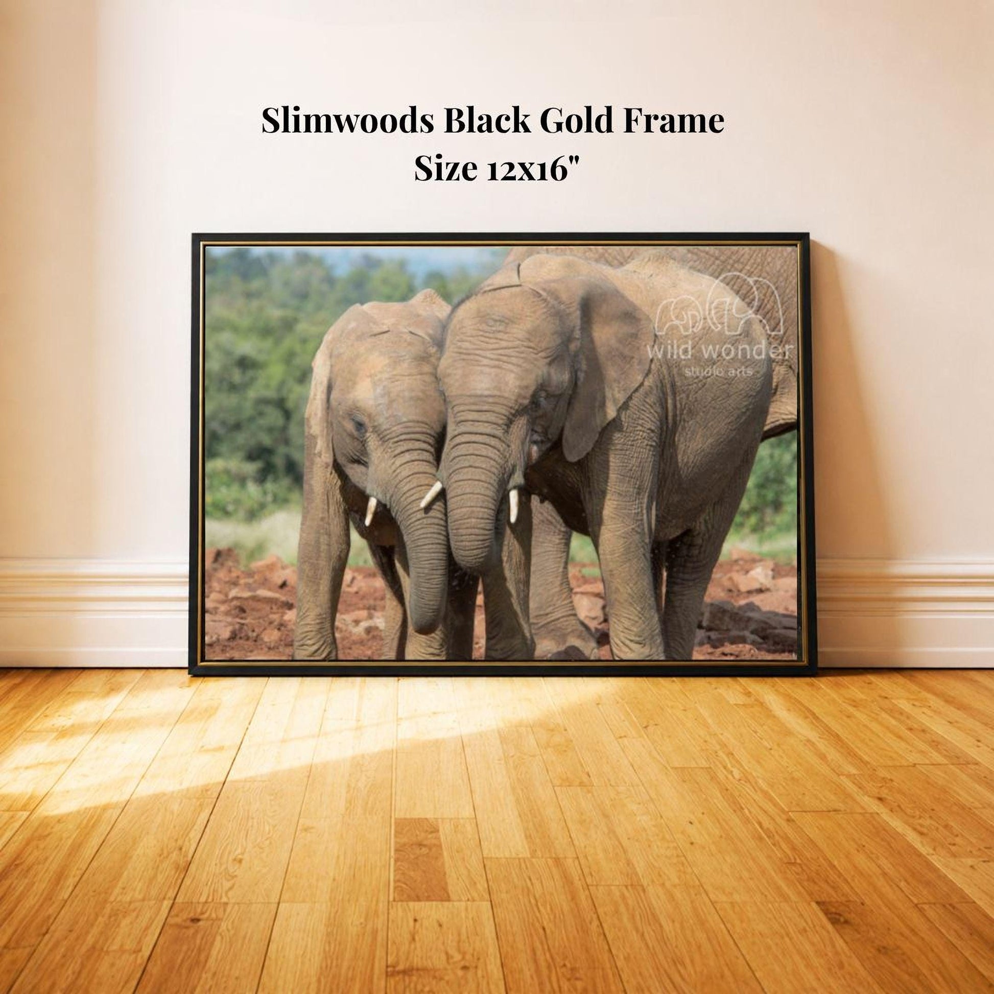 A framed photograph of two elephants standing close together in a natural setting, with a text overlay indicating the frame is a "Slimwoods Black Gold Frame" and the size is 12x16 inches.