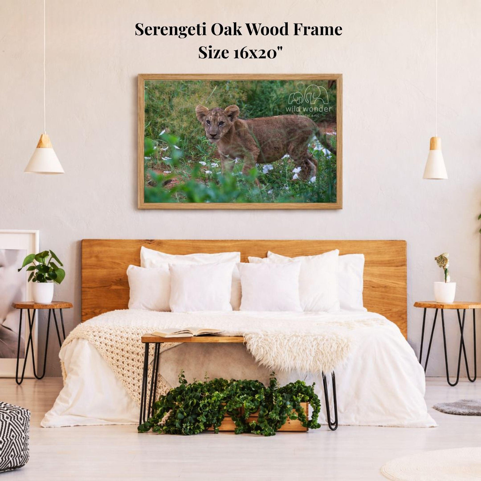 a serene bedroom scene with a large framed picture of a lion resting in the grass on the wall above a bed with white bedding.