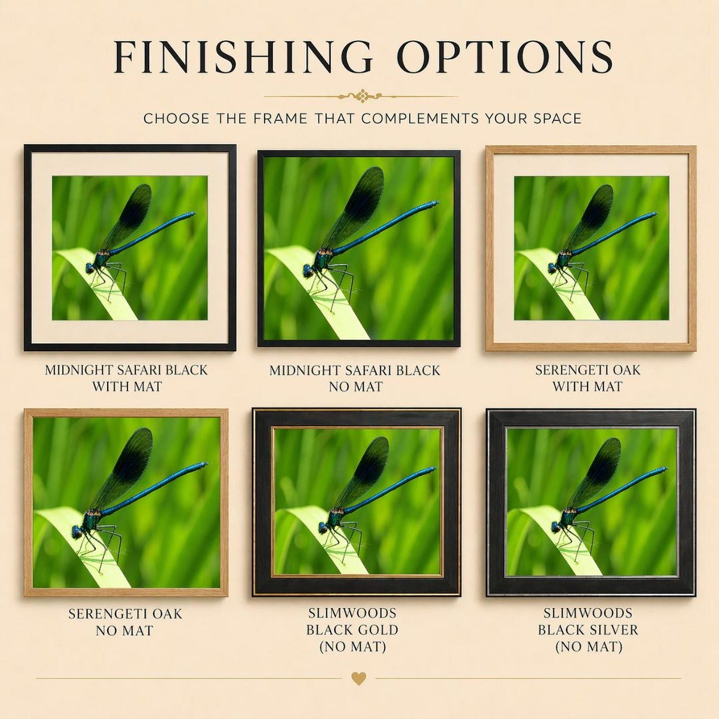 six different framed photographs of a dragonfly perched on a leaf, each with a different frame color and style.