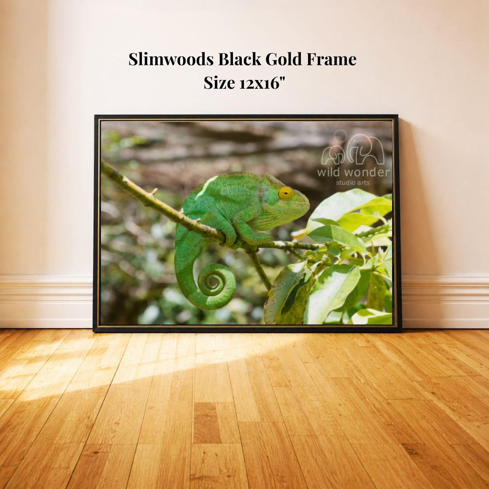A framed photograph of a green chameleon perched on a branch, with a black frame and a text overlay indicating the size of the frame as 12x16 inches.