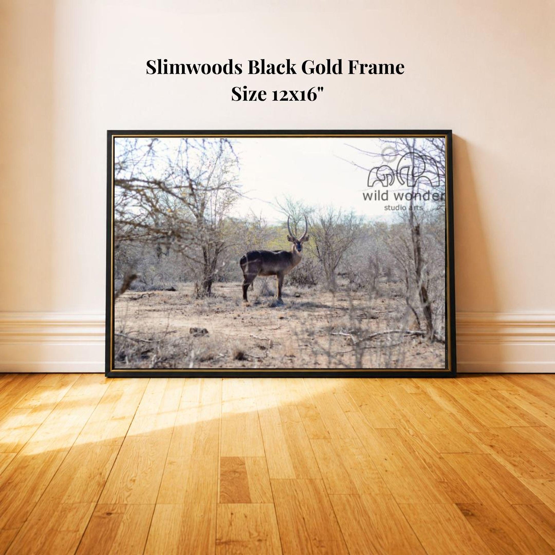 A black and gold framed photograph of a gazelle standing in a dry, wooded area.