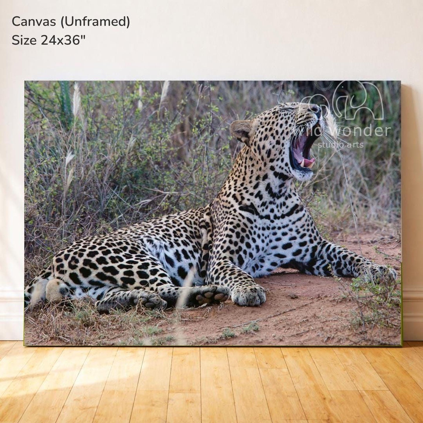A leopard is lying on the ground, with its mouth open, in a natural setting with vegetation and dirt.