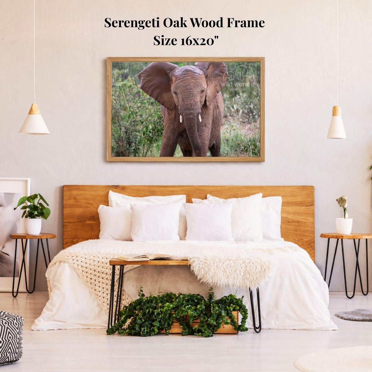 a serene bedroom scene with a large framed photograph of an elephant on the wall above a bed with white bedding.